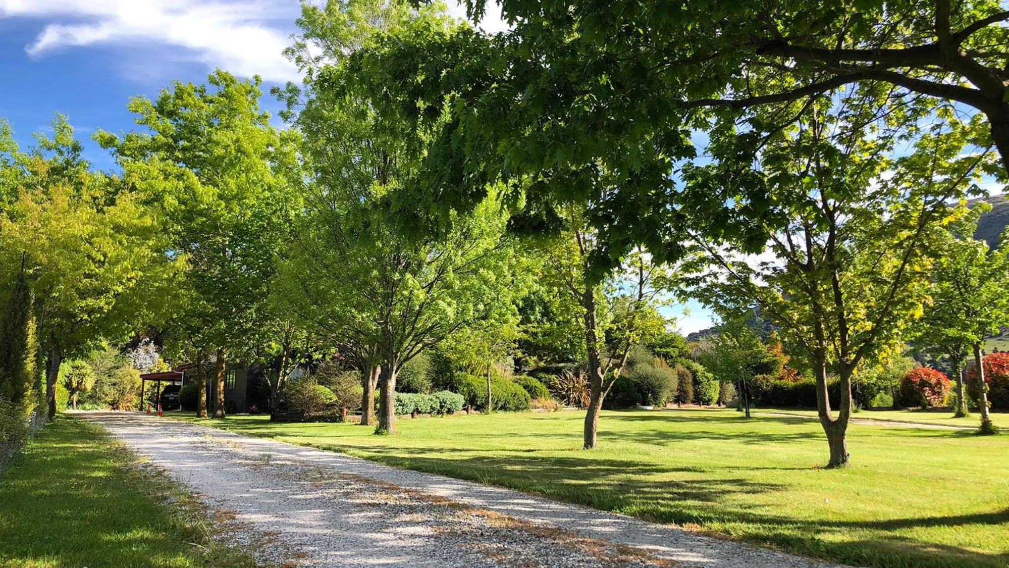 Garden in Alpine View Lodge