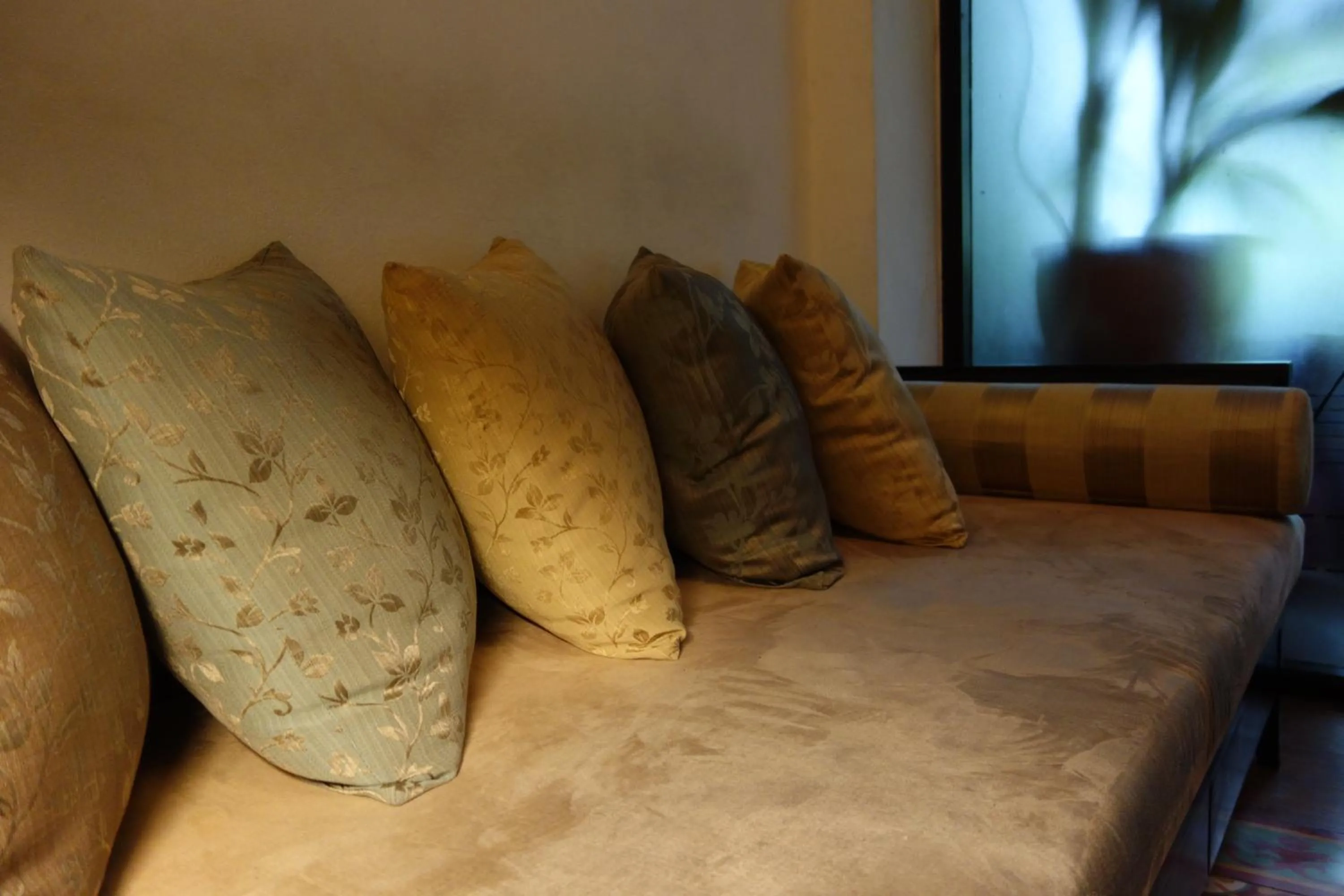 Living room in Smile Society