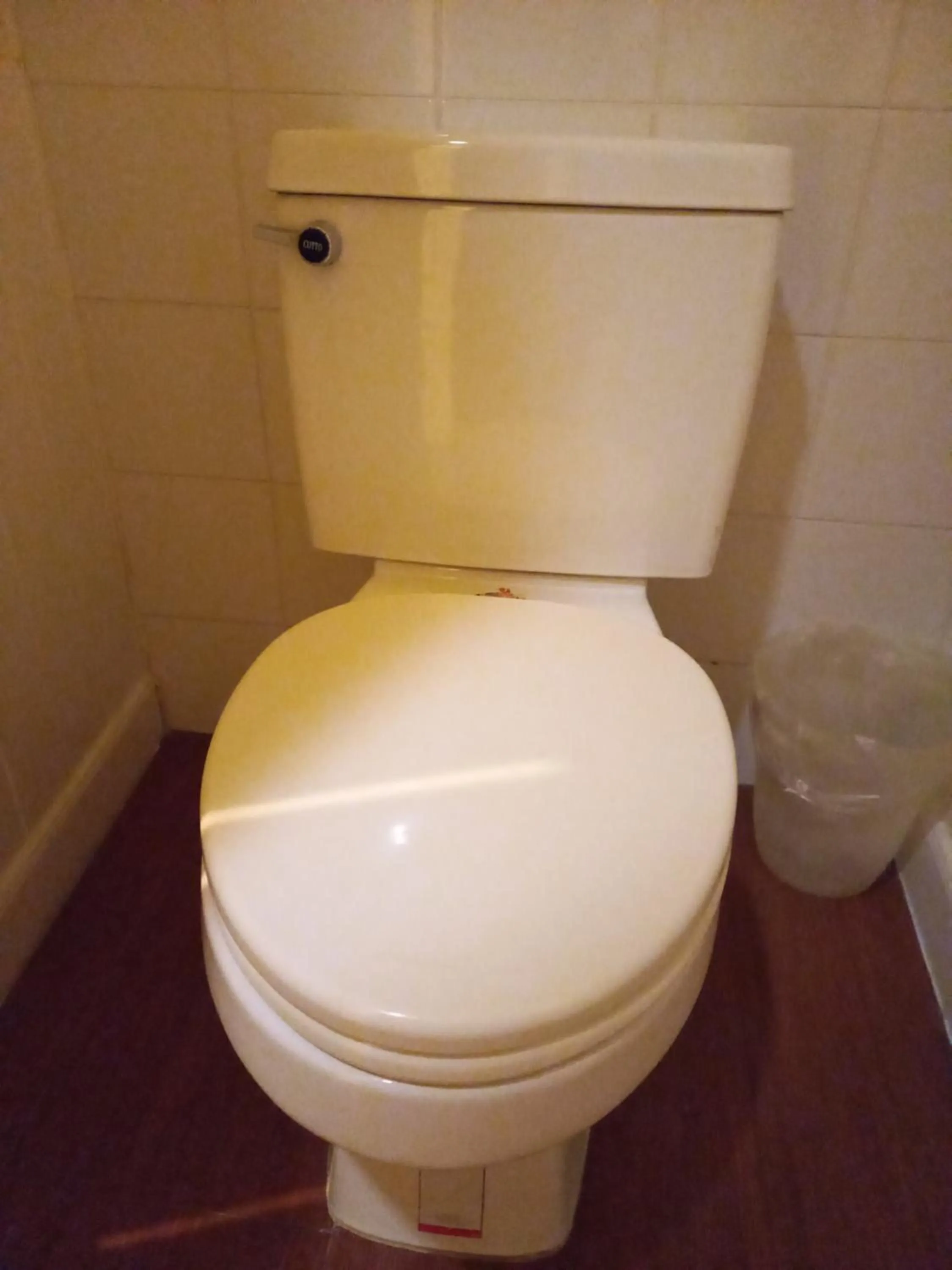 Toilet in Smile Society