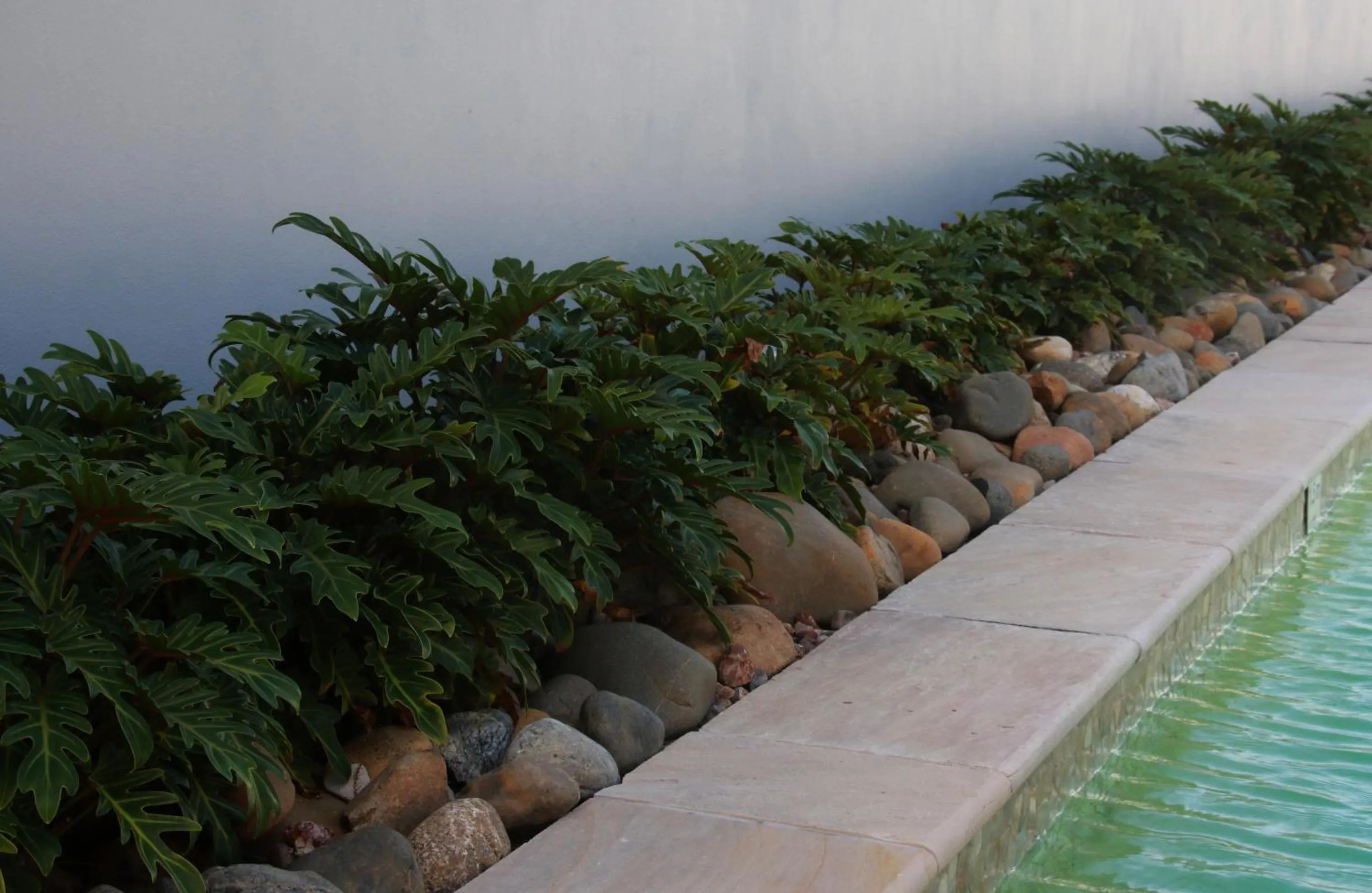 Garden in Lennox Holiday Apartments