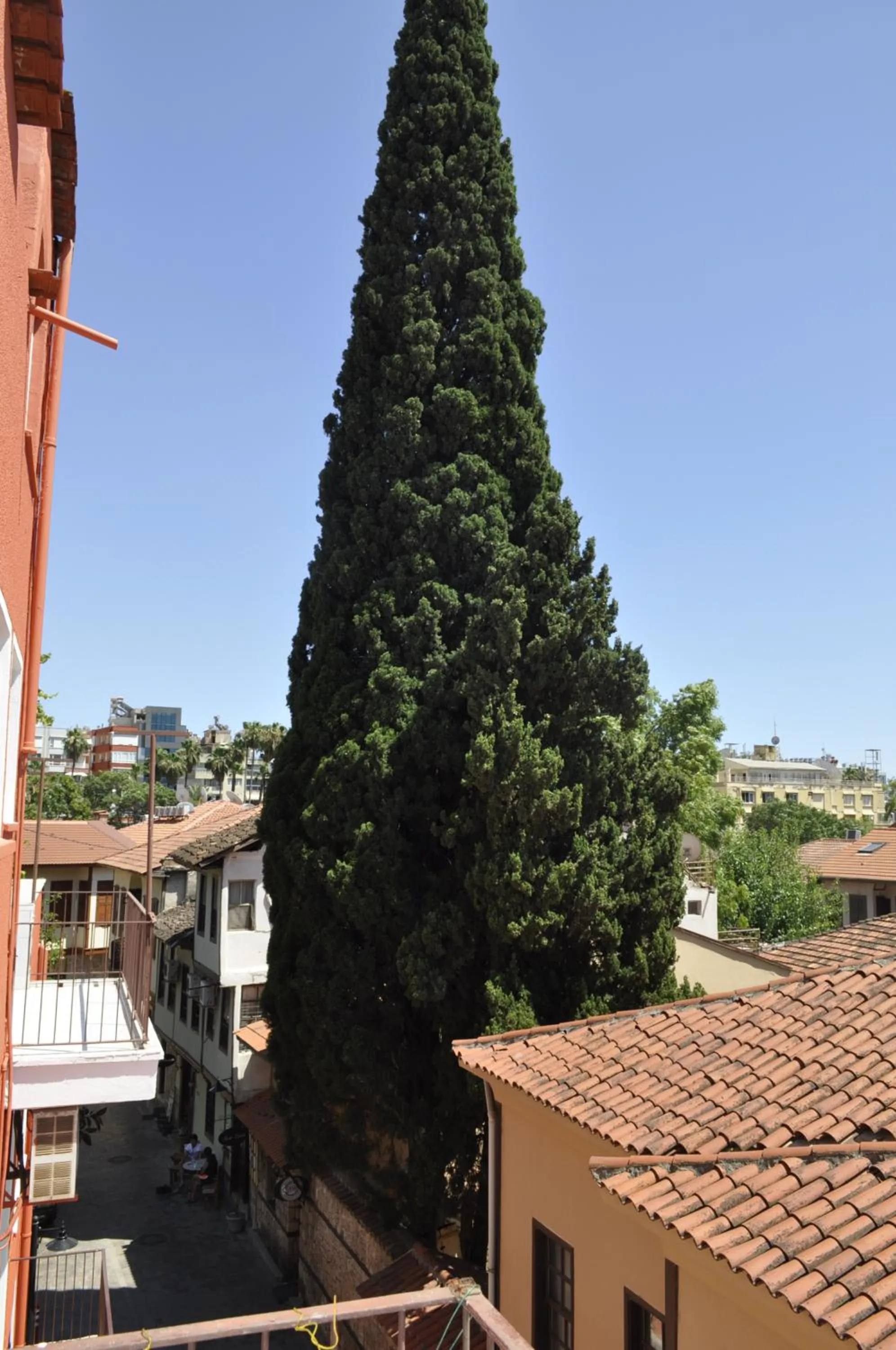 Day in Erkal Pension