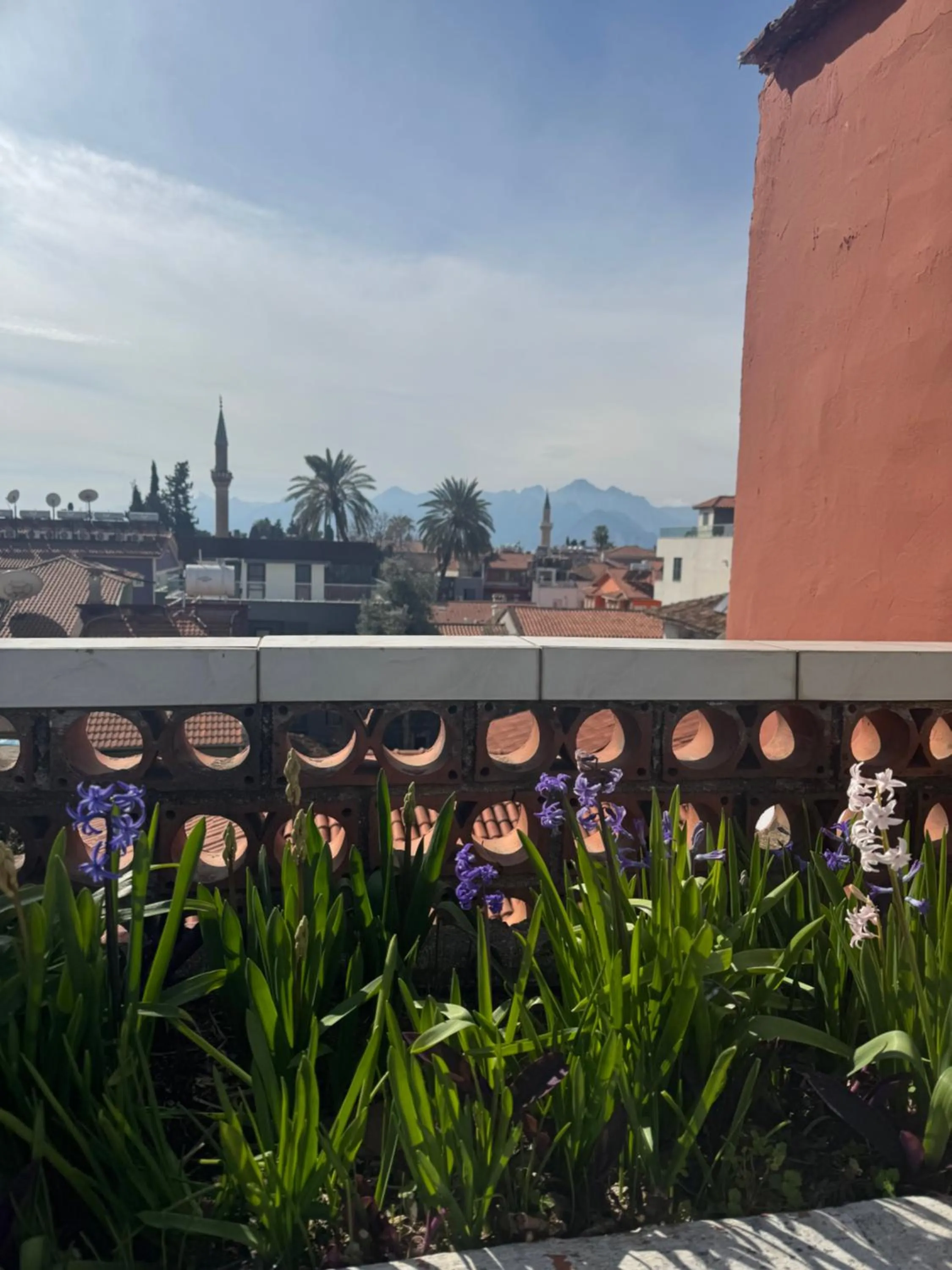 Natural landscape in Erkal Pension