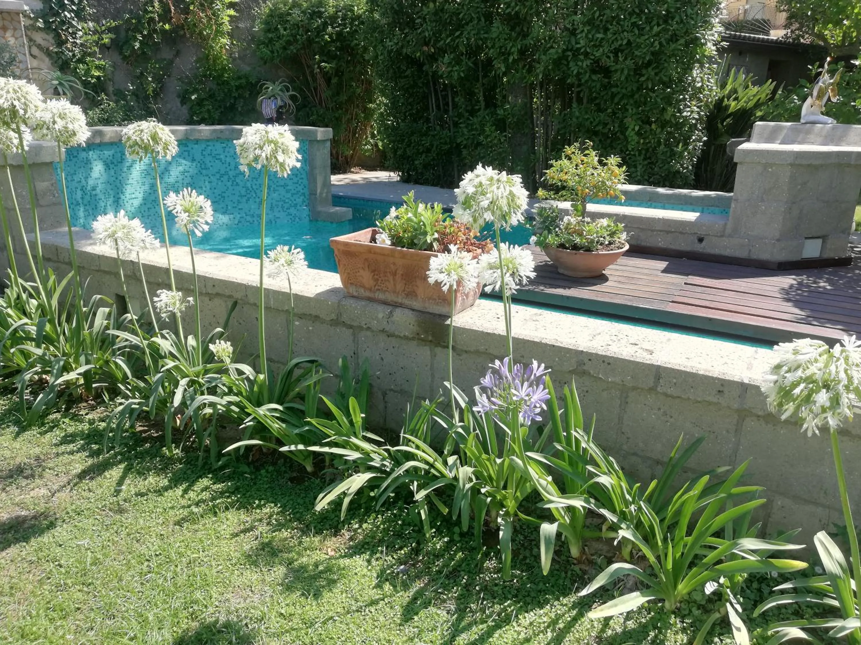 Garden in Villa Manning Relais