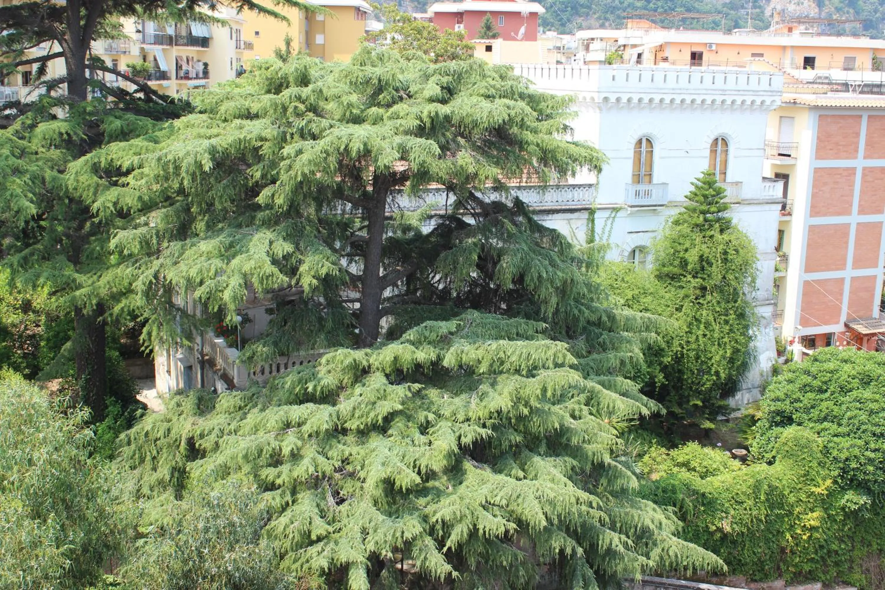 Property building in Villa Manning Relais