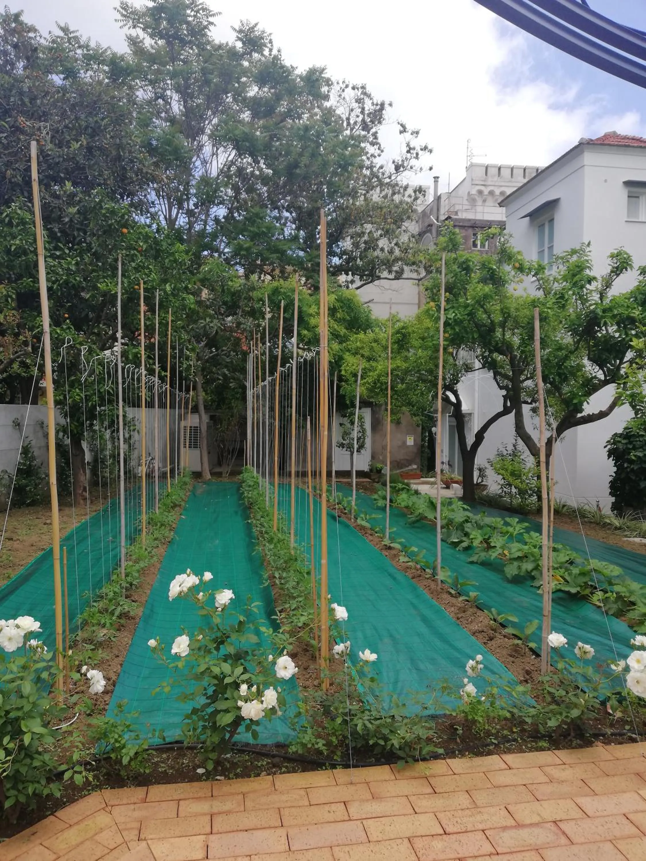 Garden in Villa Manning Relais