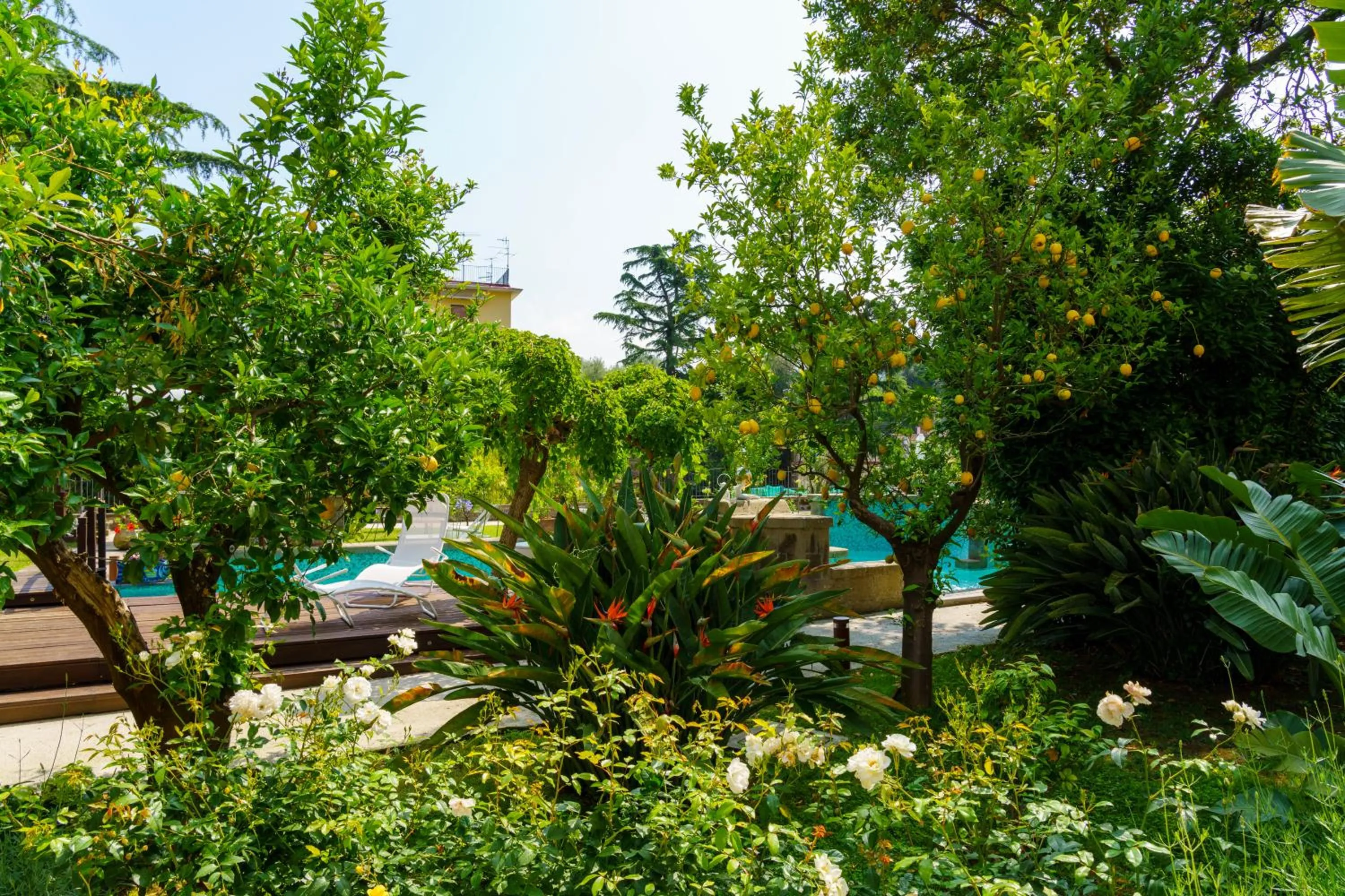 Garden in Villa Manning Relais