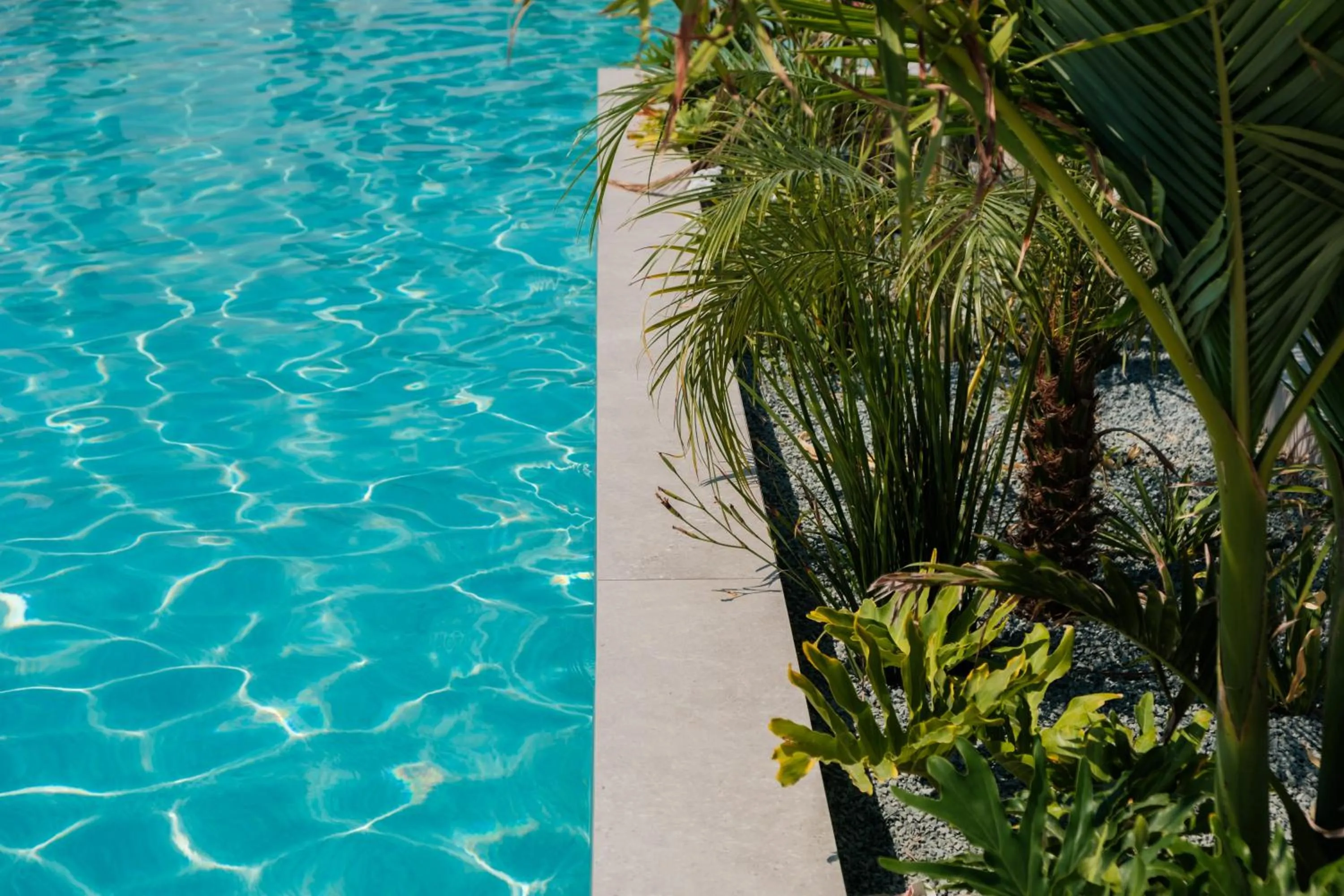 Property building in Abacus Suites