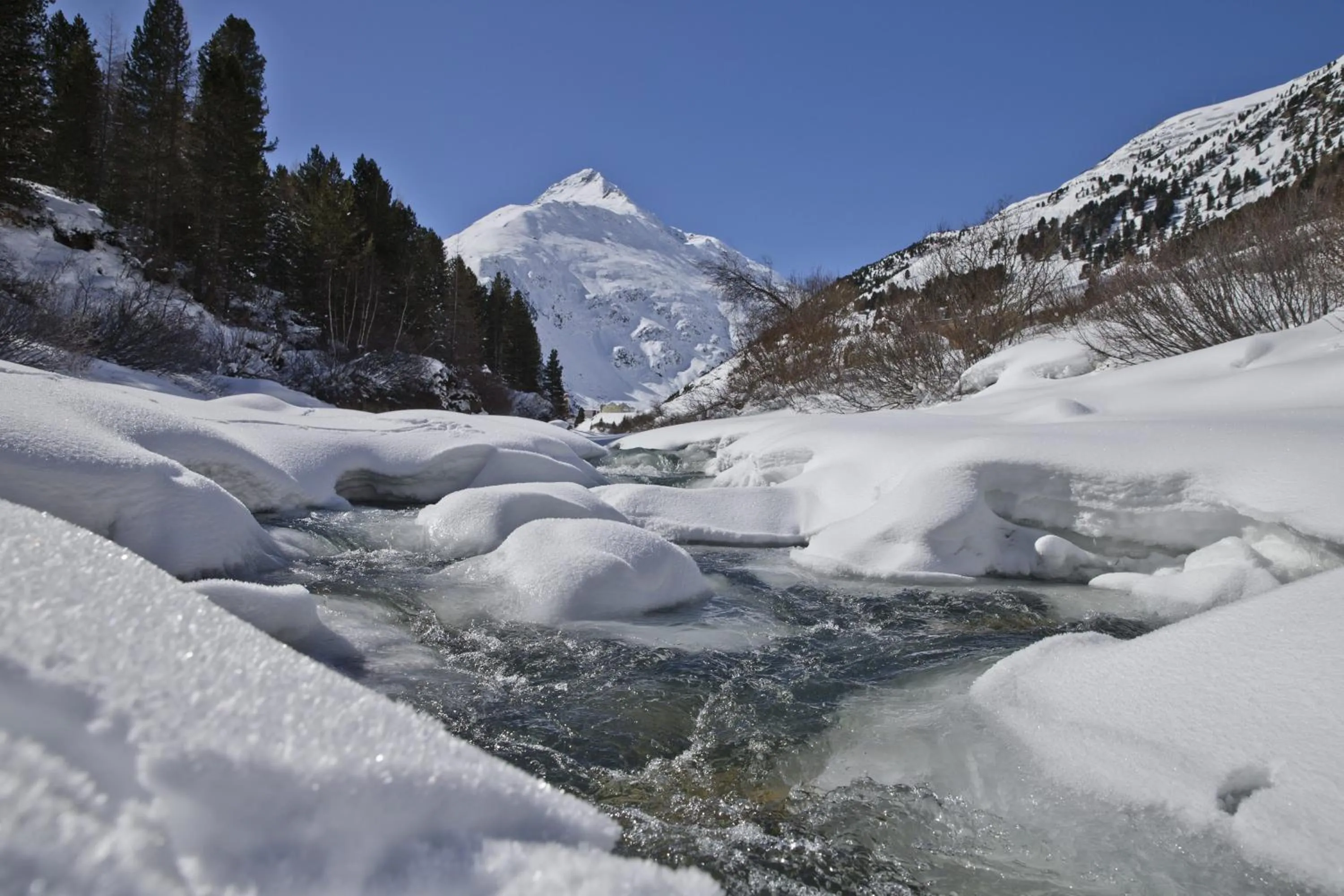 Natural landscape in Hotel Vent