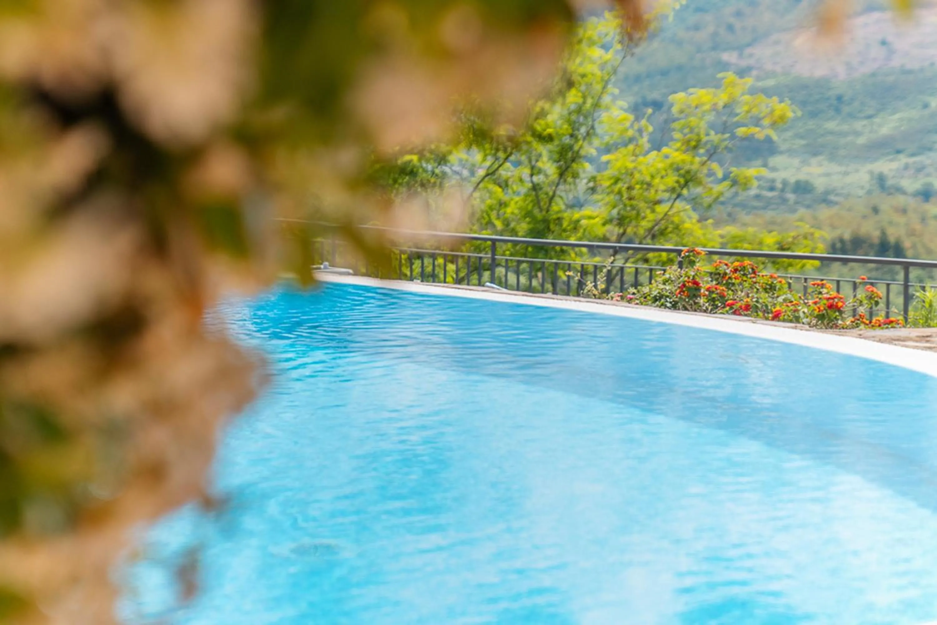 Swimming pool in Agriturismo San Basilio