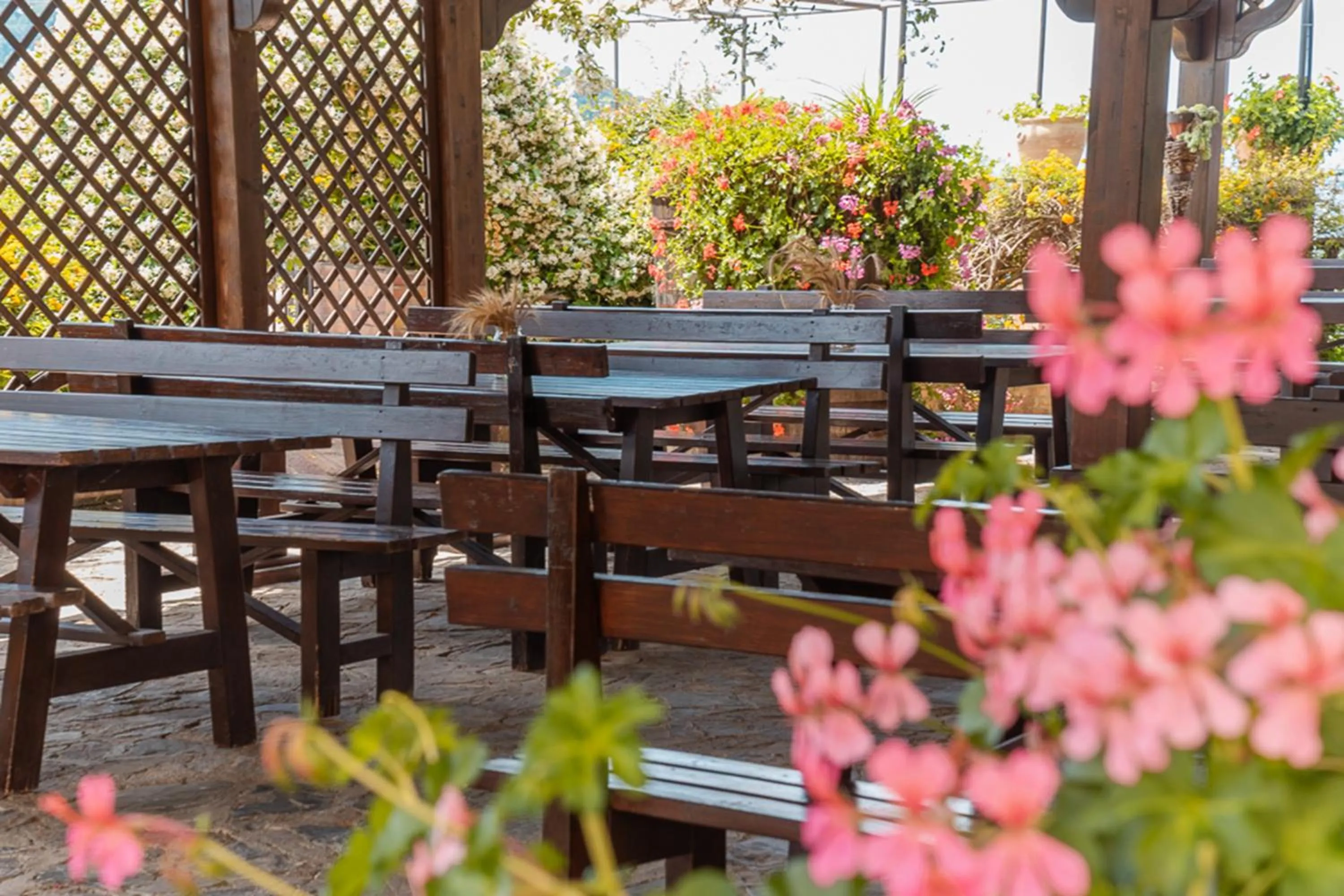 Restaurant/places to eat in Agriturismo San Basilio