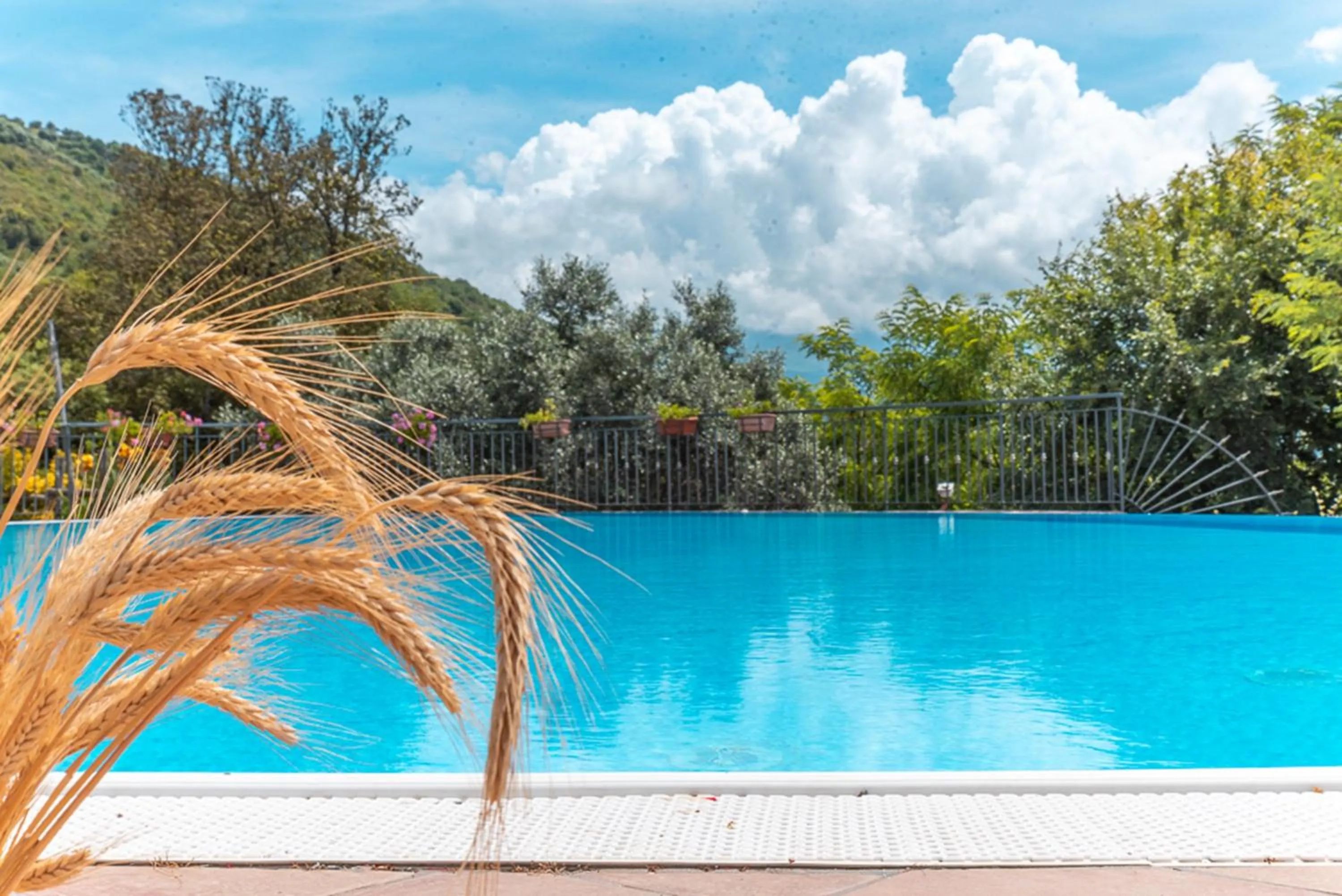 Swimming pool in Agriturismo San Basilio