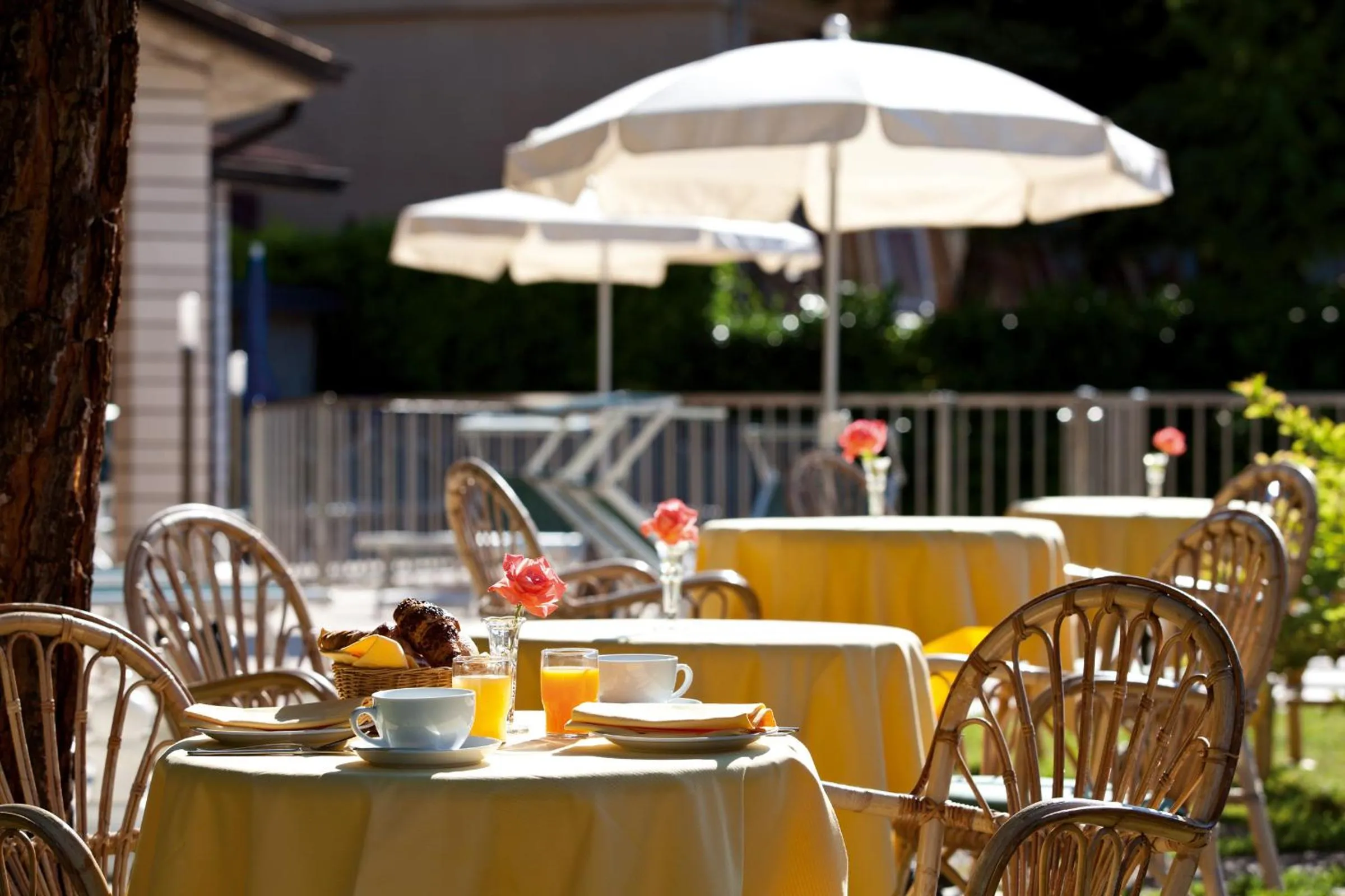 Continental breakfast in Hotel Astra