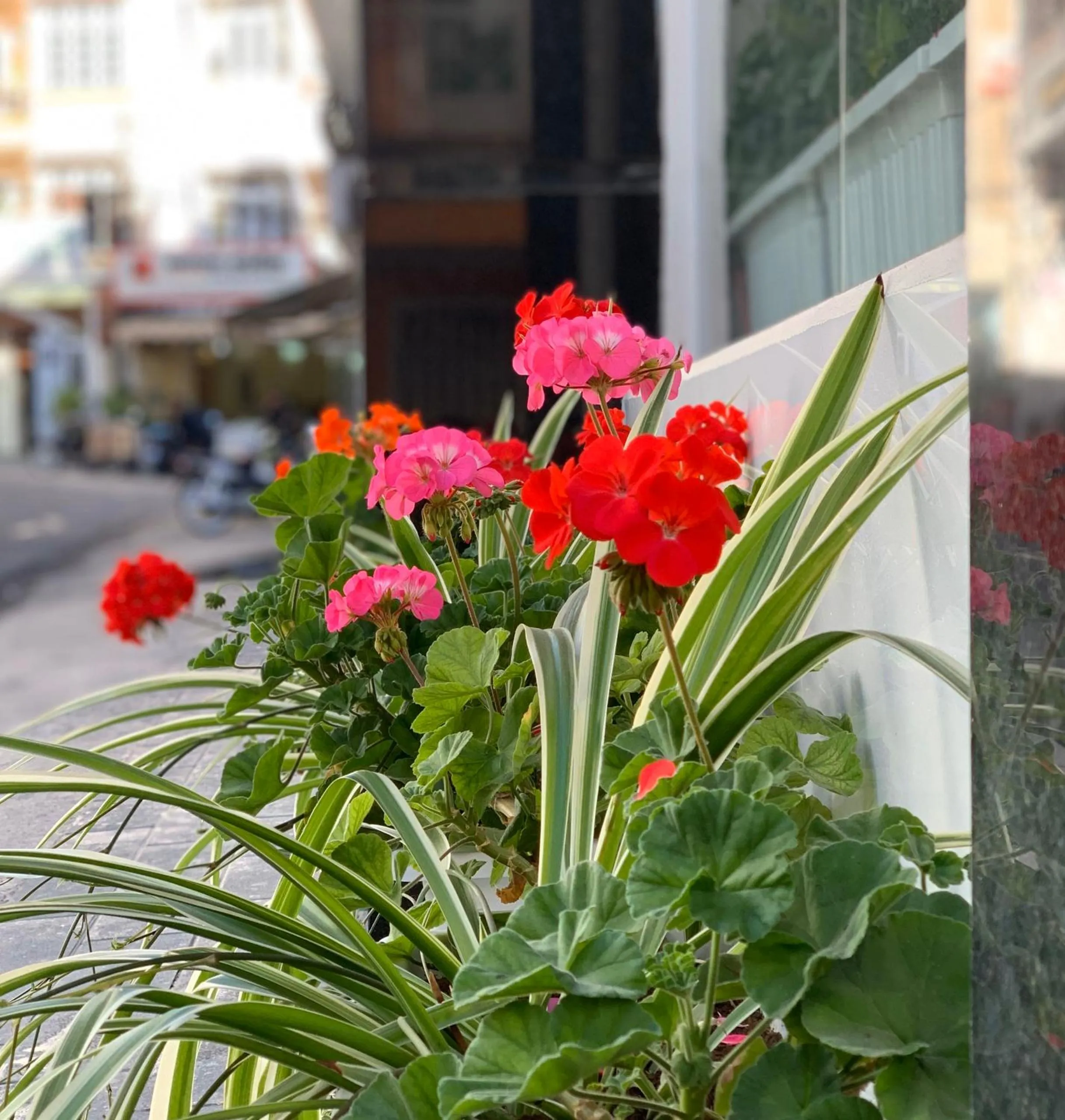 Facade/entrance in Dalat ECO Hotel 2