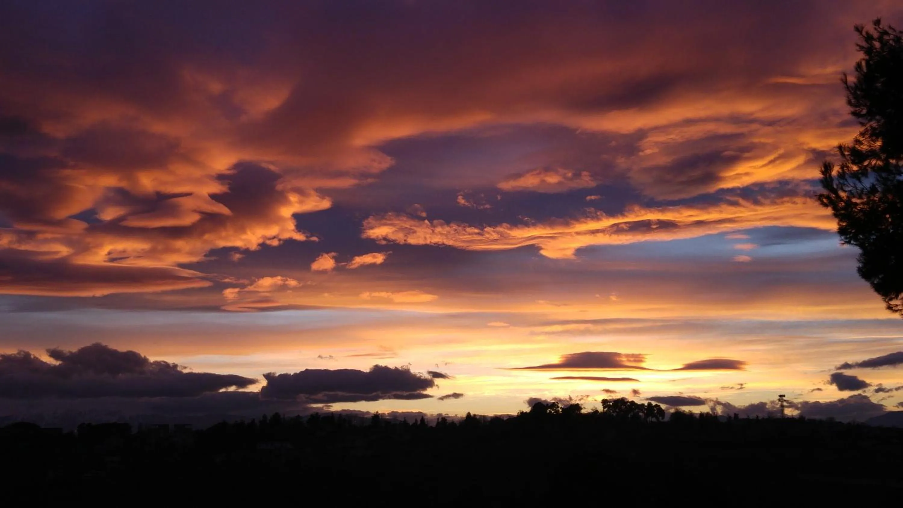 Property building in Villa Perenich