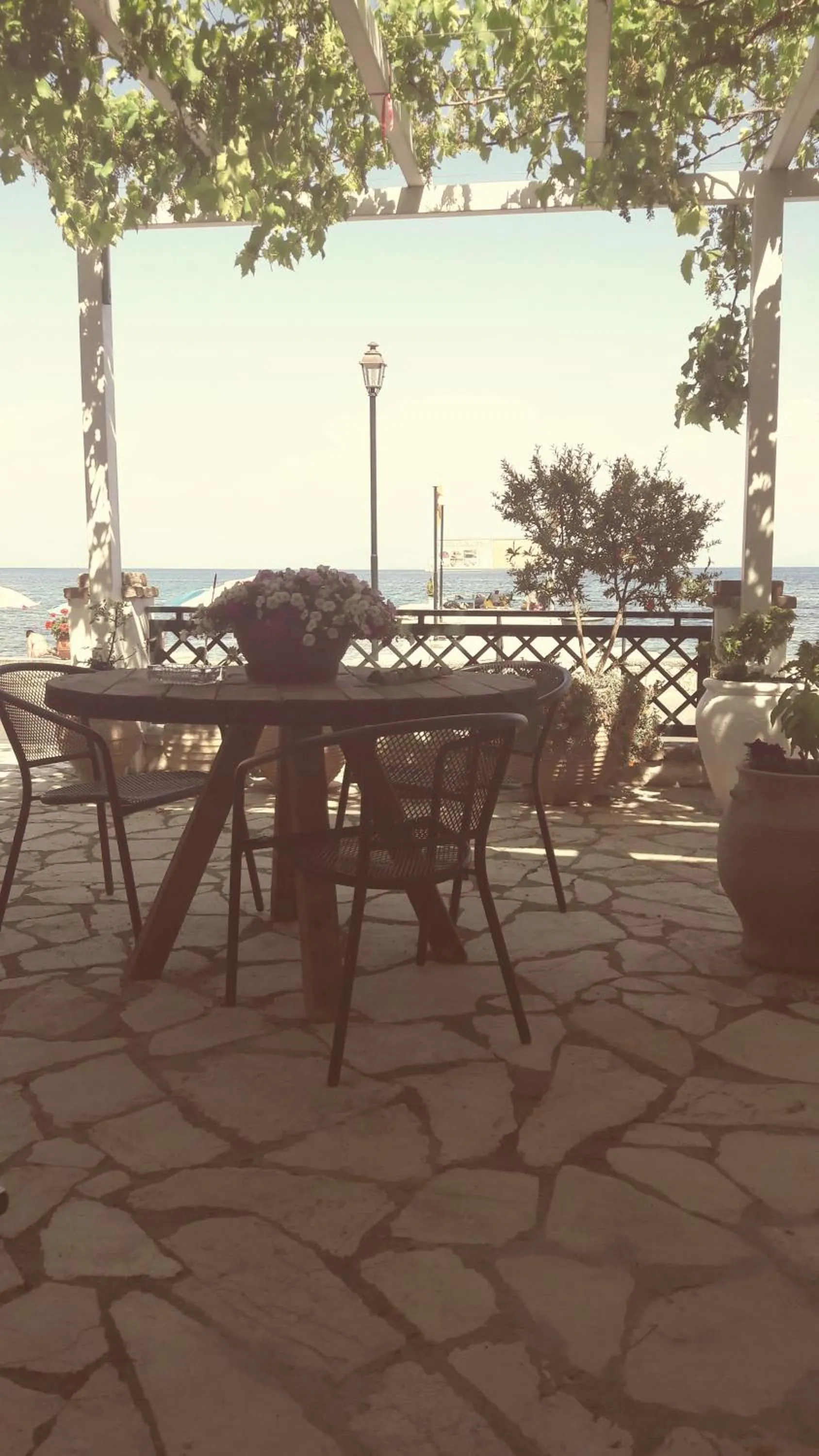 Balcony/Terrace in Eros Beach Hotel