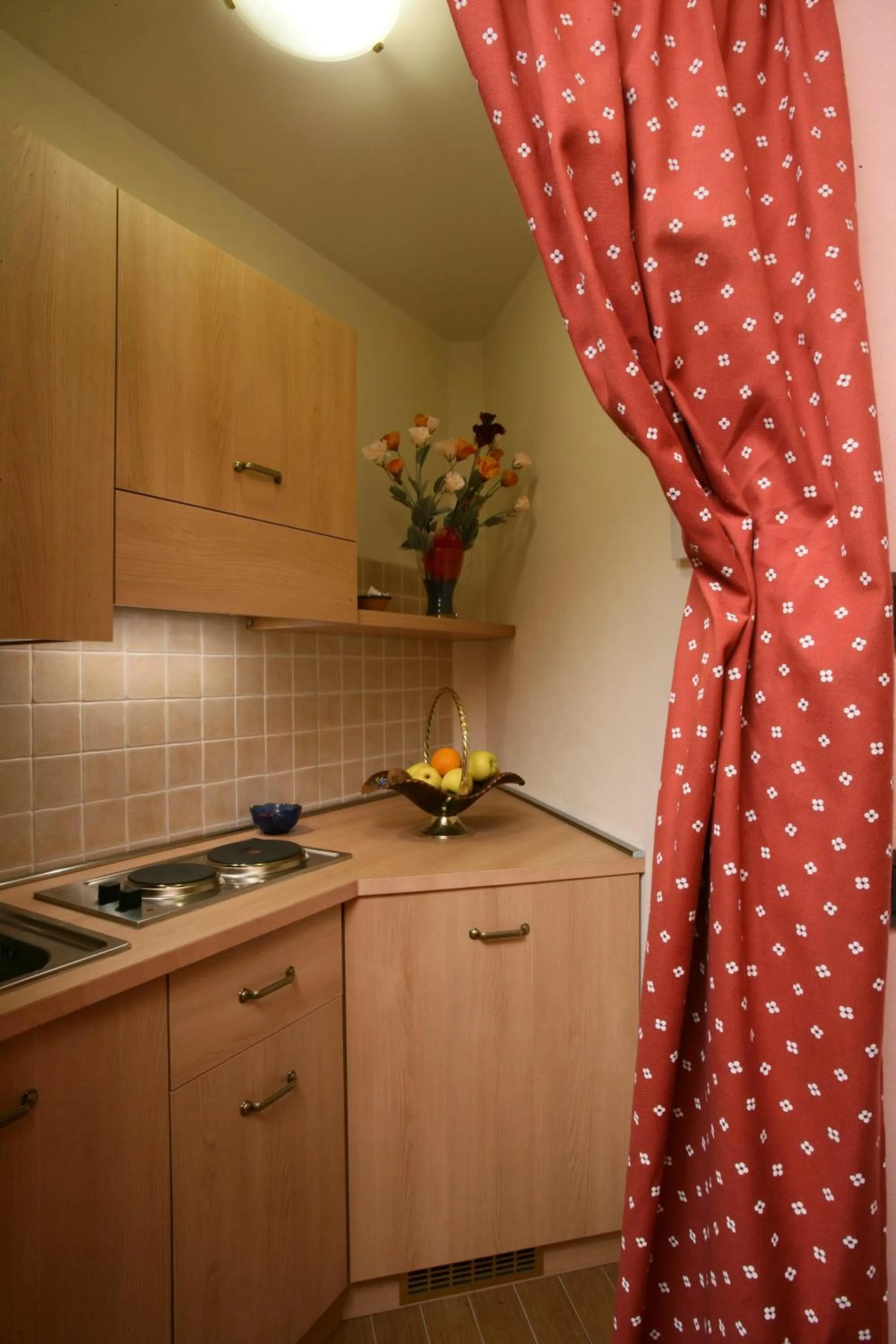 Kitchen or kitchenette in Hotel Fai