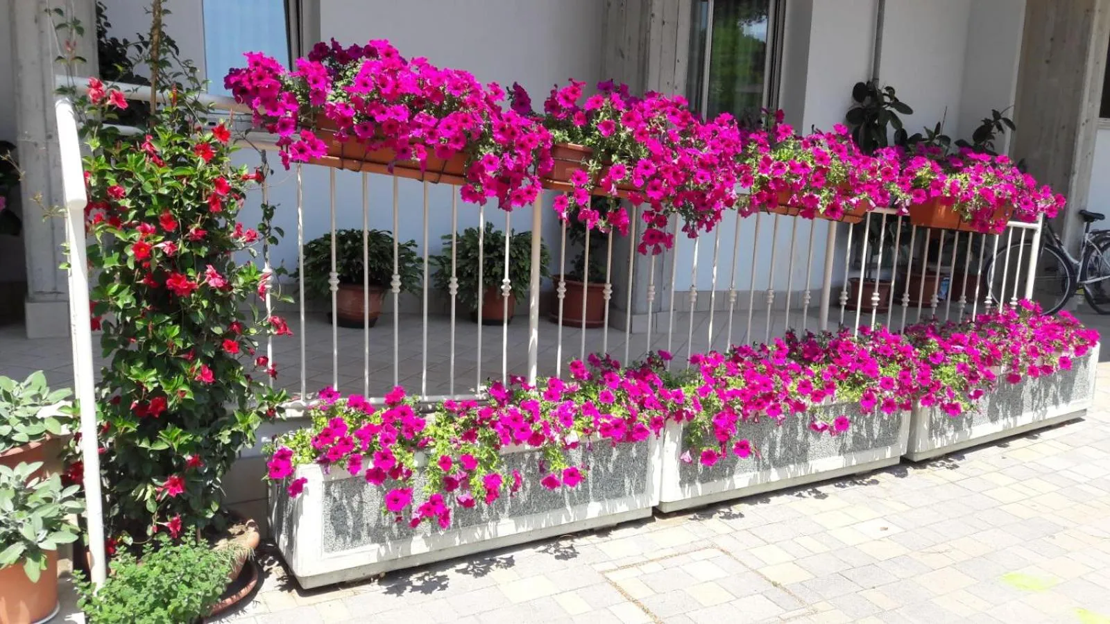 Property building in Residence Onda Blu