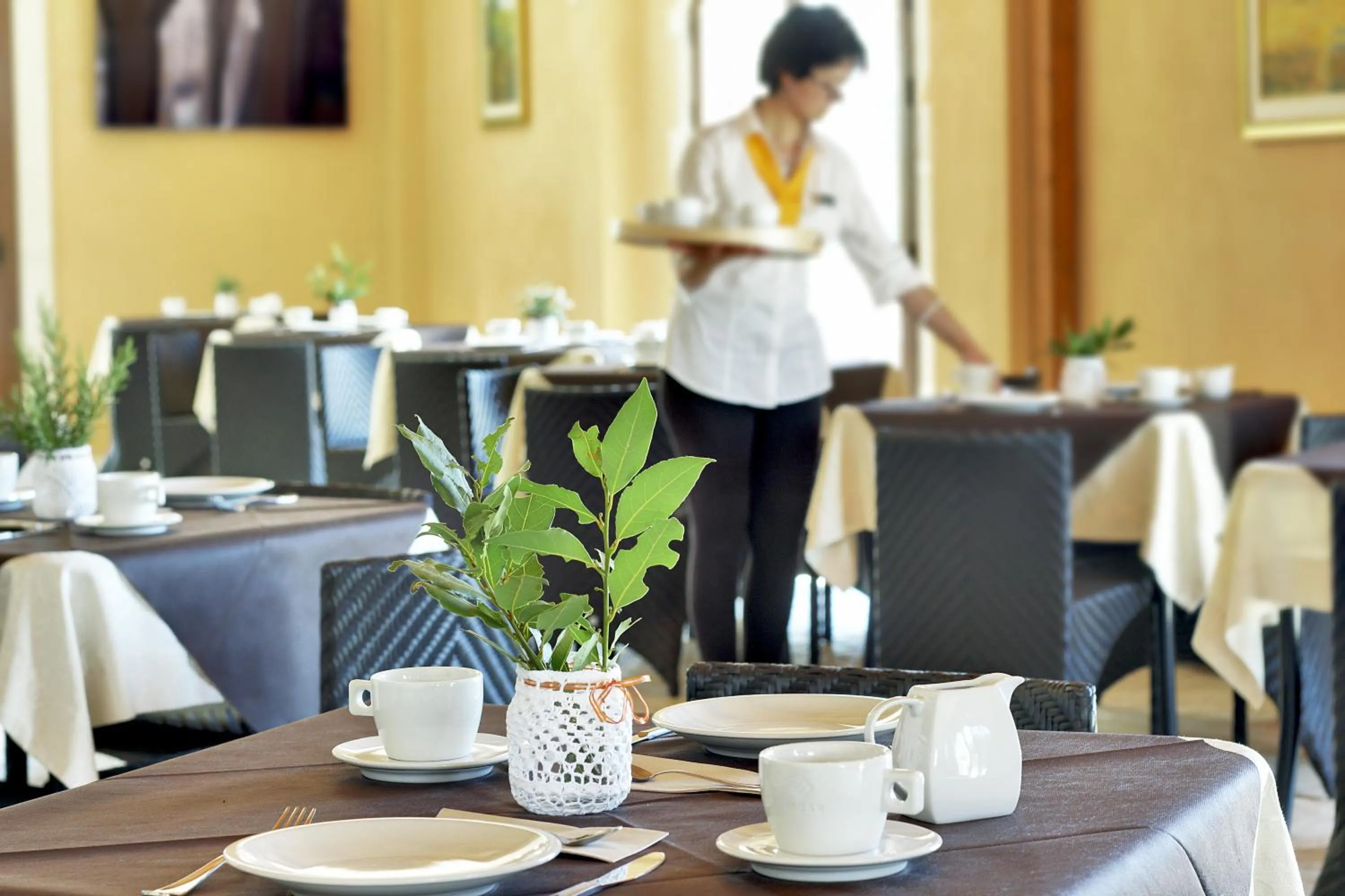 Summer in Artemisia Resort