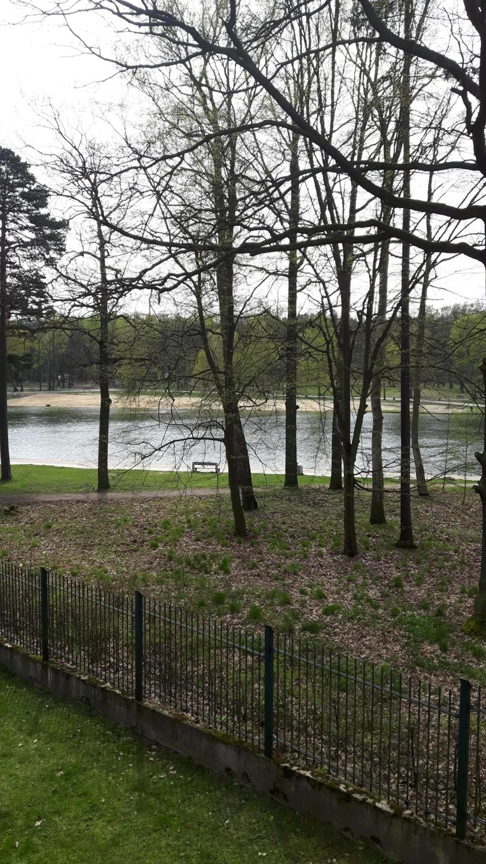 Natural landscape in Hotel Daria Dworek Myśliwski