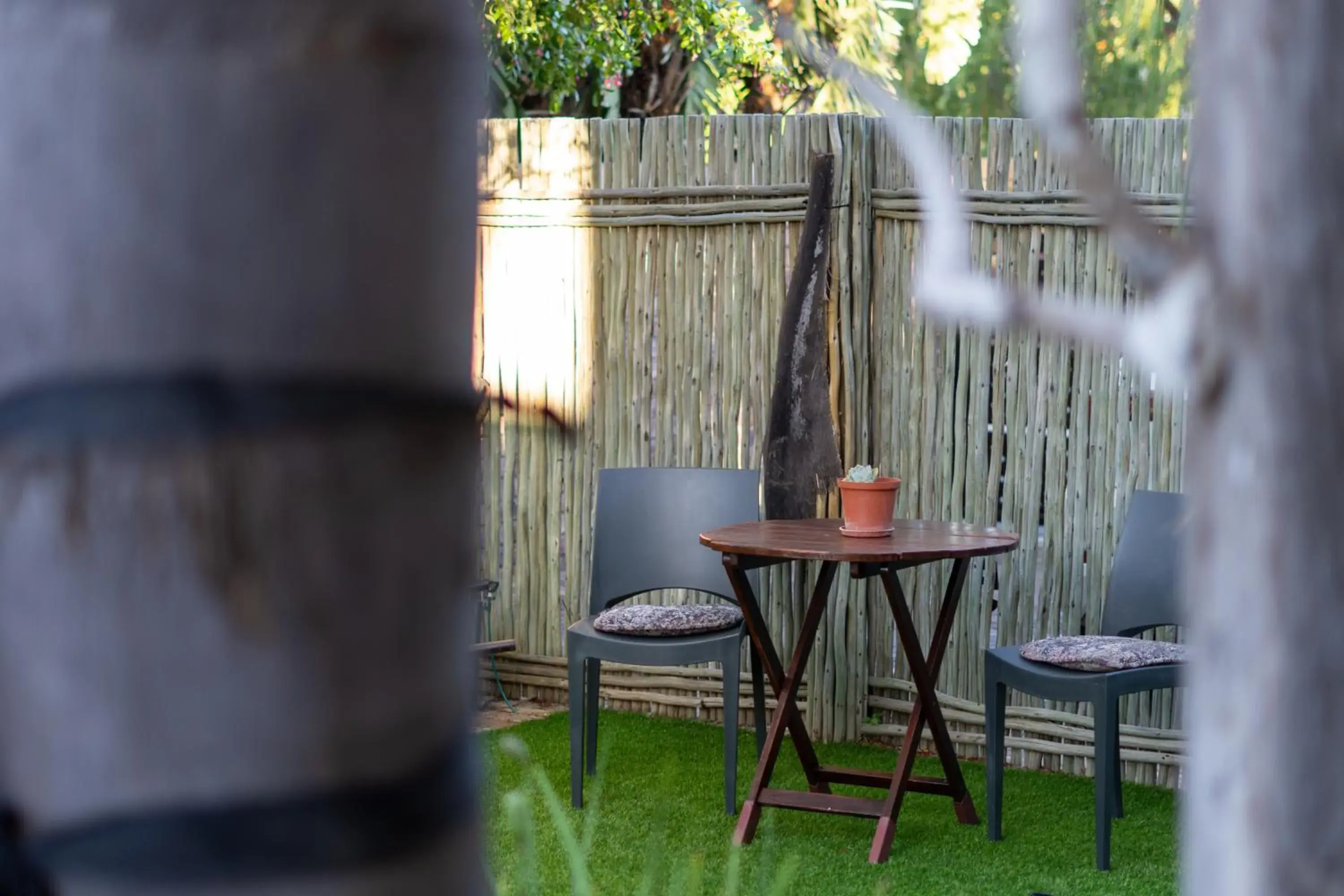 Garden view in Earthbound Guest House Garden view in Earthbound Guest House