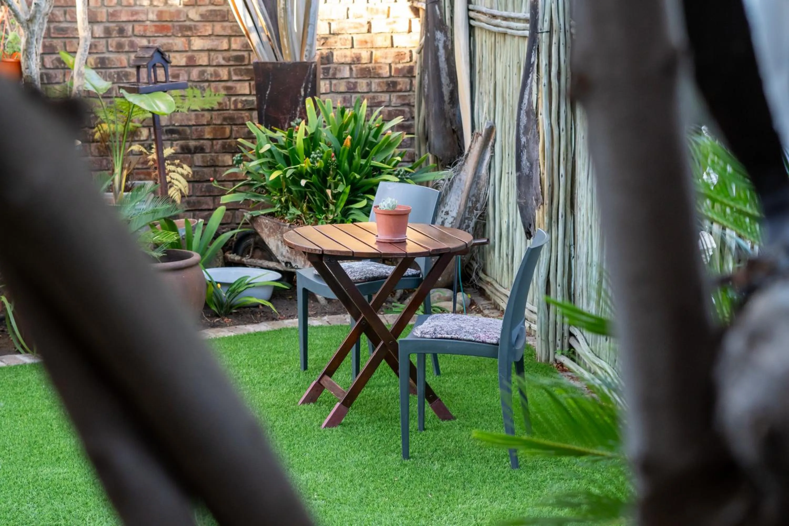 Garden view in Earthbound Guest House