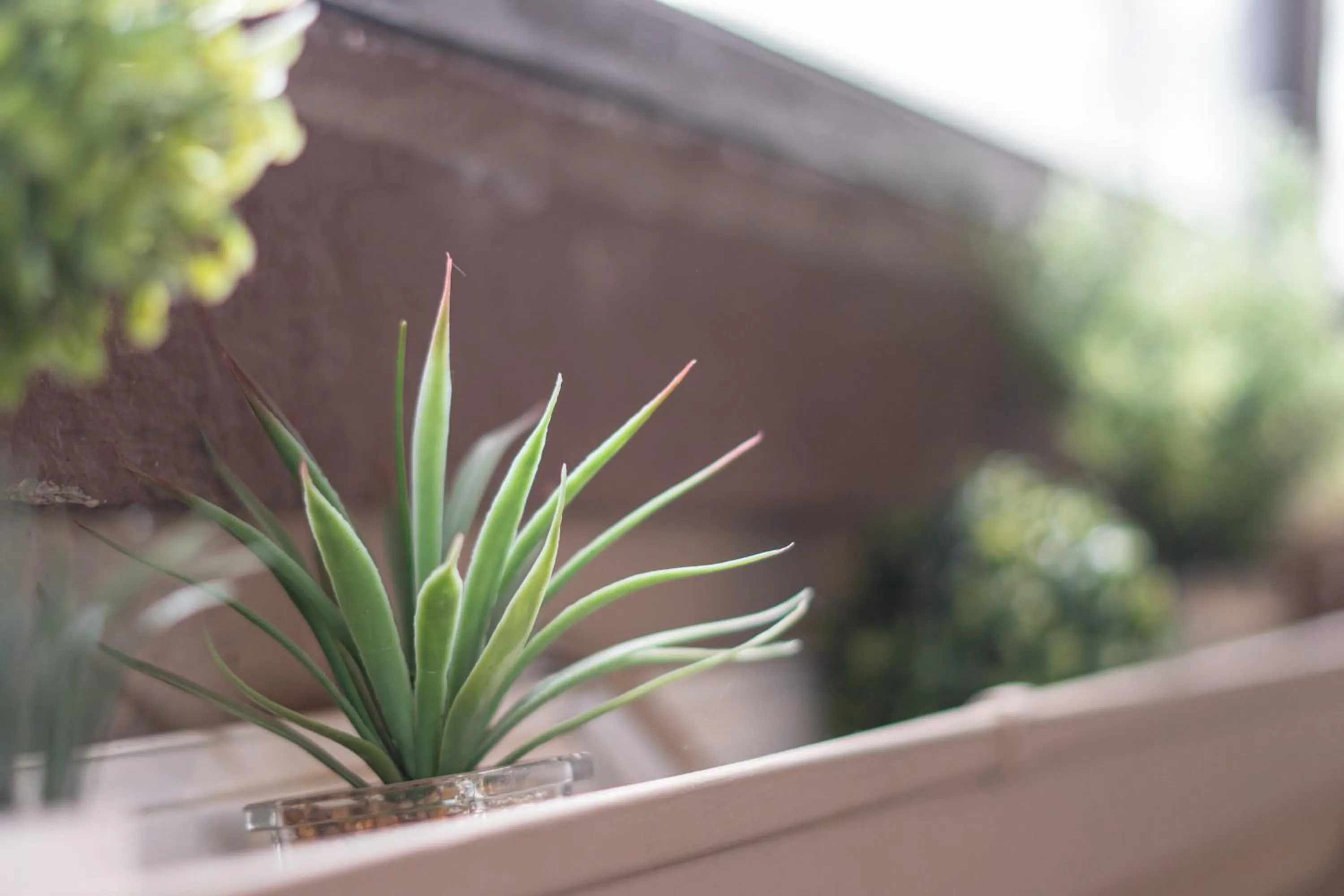 Decorative detail in Earthbound Guest House