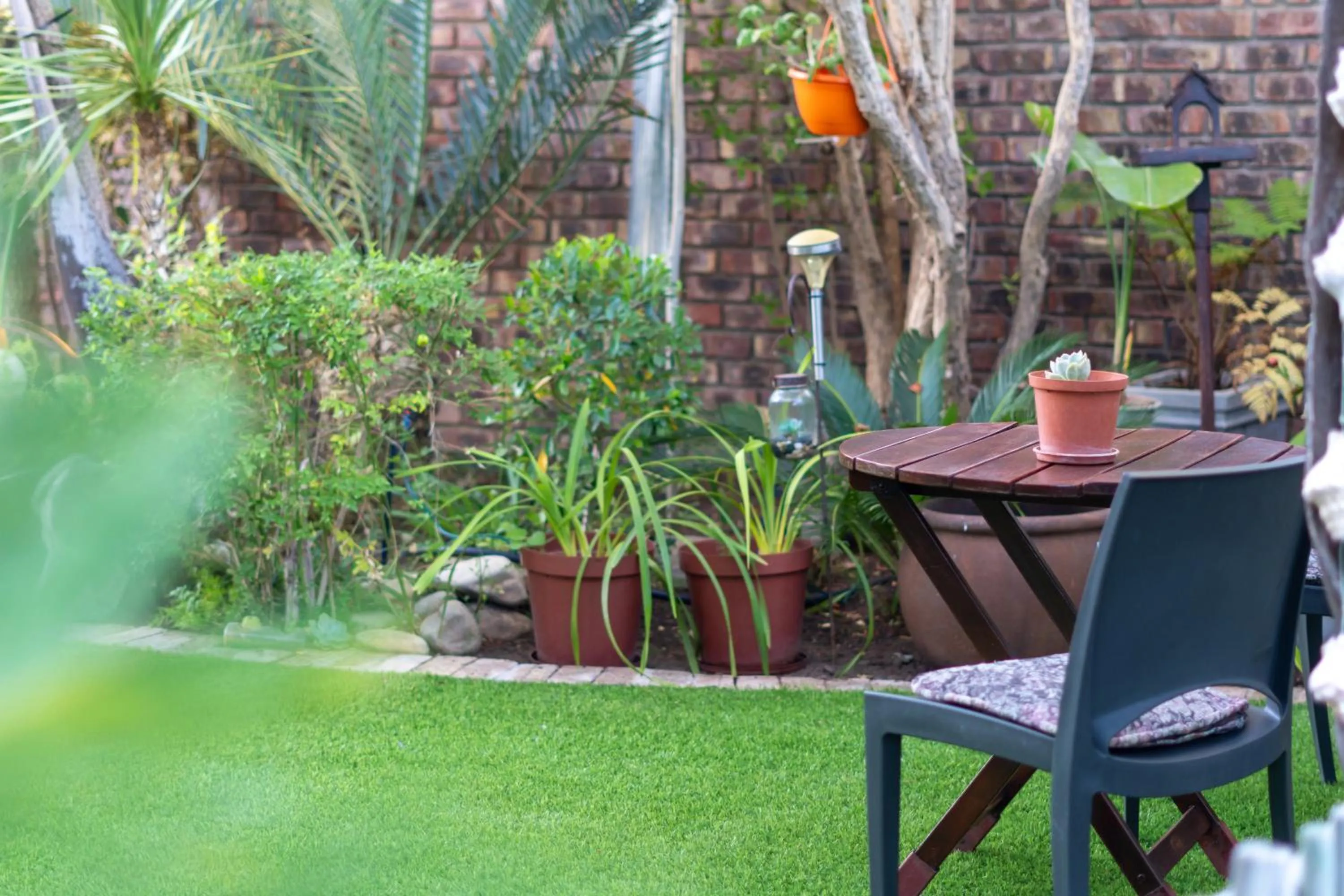 Garden in Earthbound Guest House