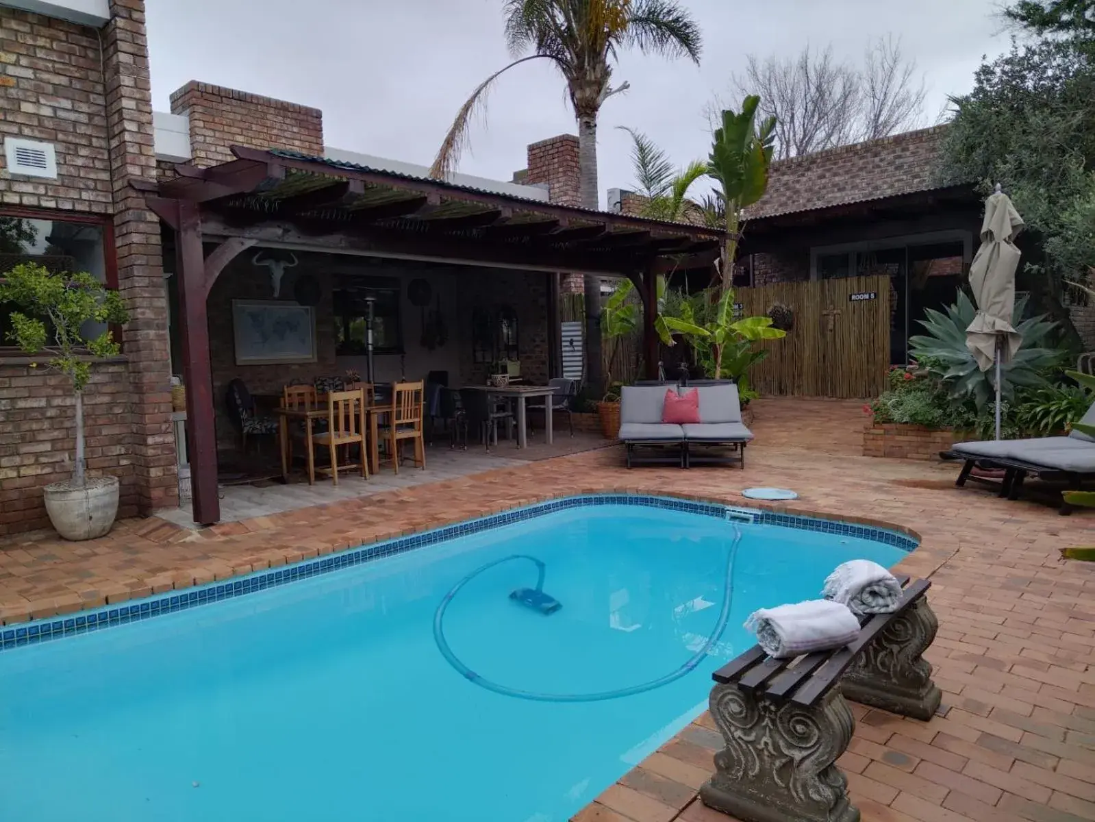 Pool view in Earthbound Guest House Pool view in Earthbound Guest House