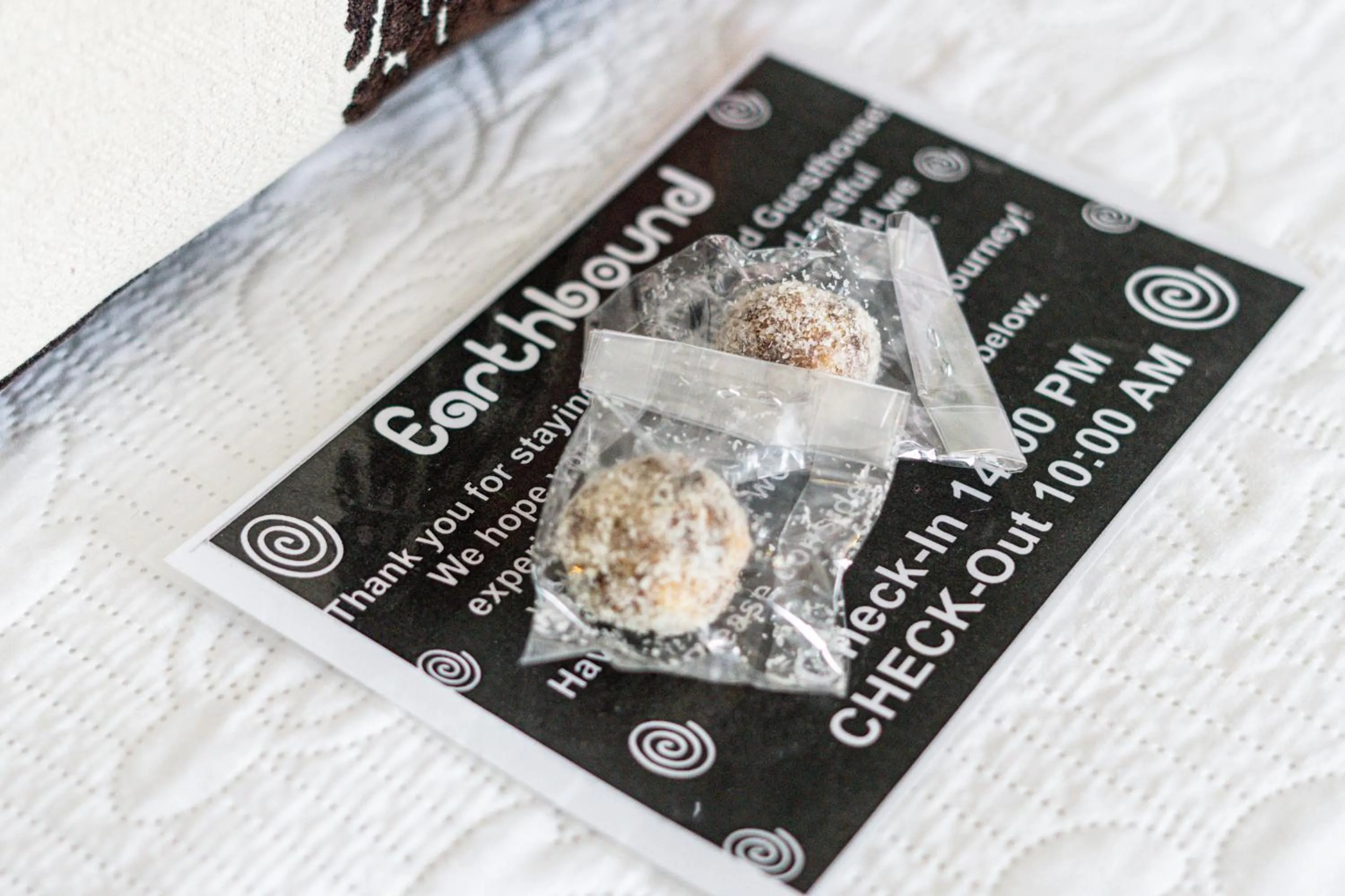 Food in Earthbound Guest House