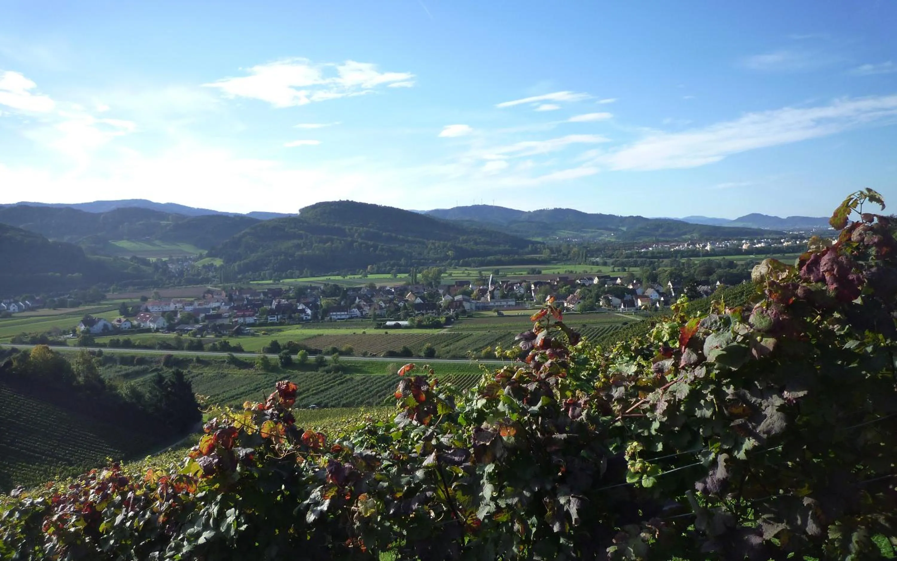 Off site in Hotel & Gasthaus Löwen