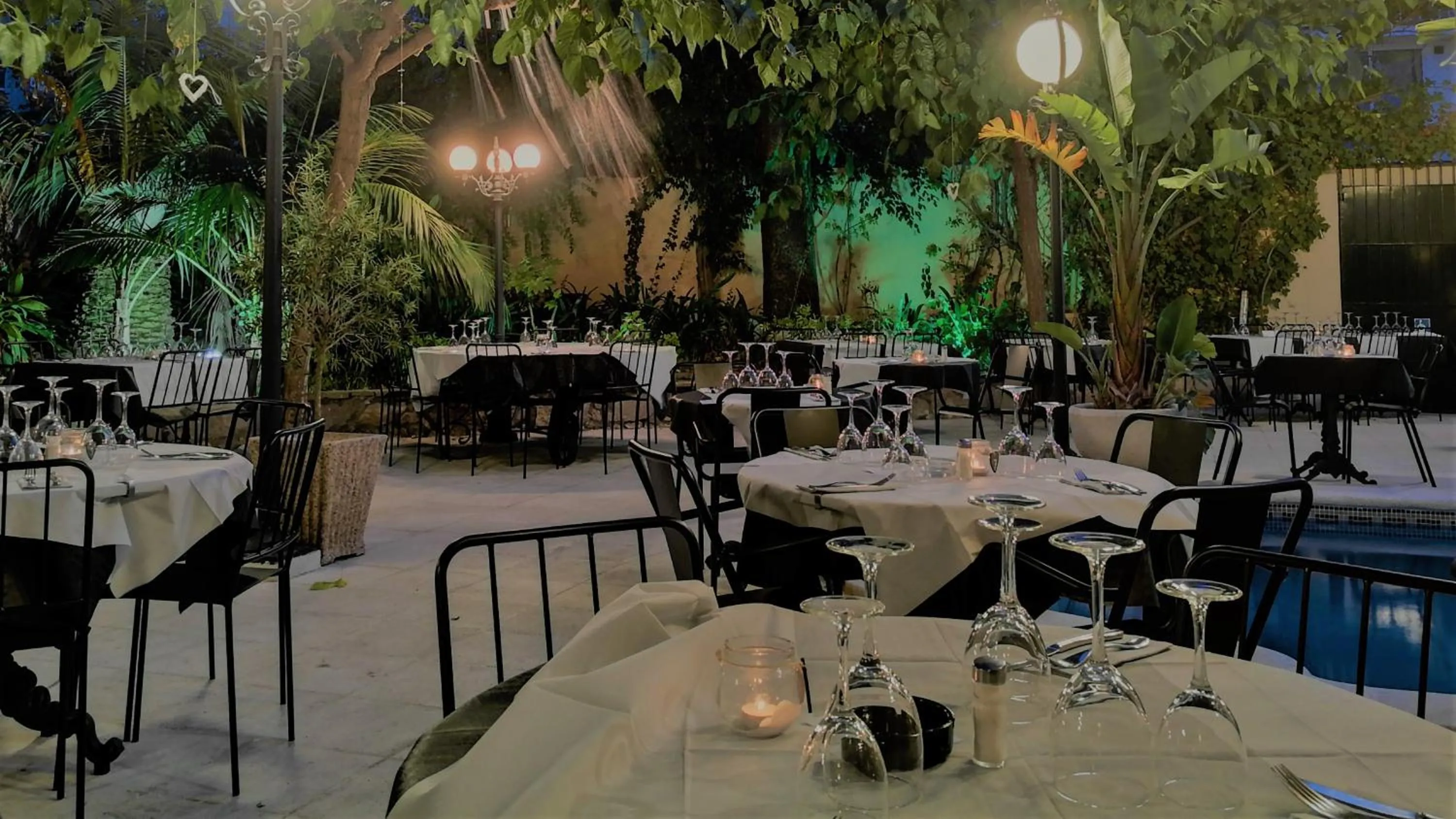 Restaurant/places to eat in Hotel El Xalet