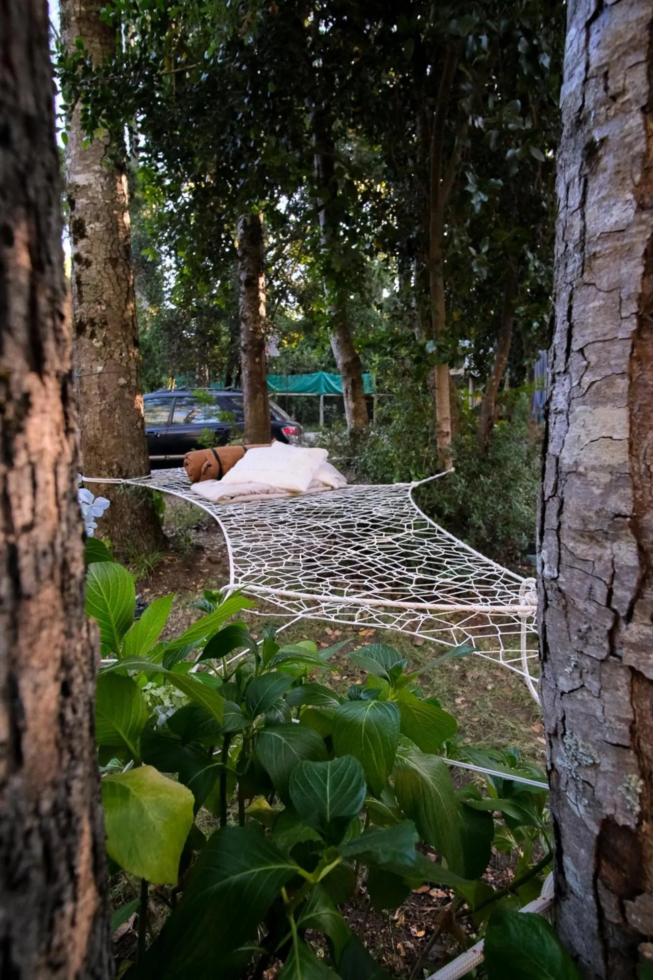 Natural landscape in Casa de Noah Bed & Breakfast