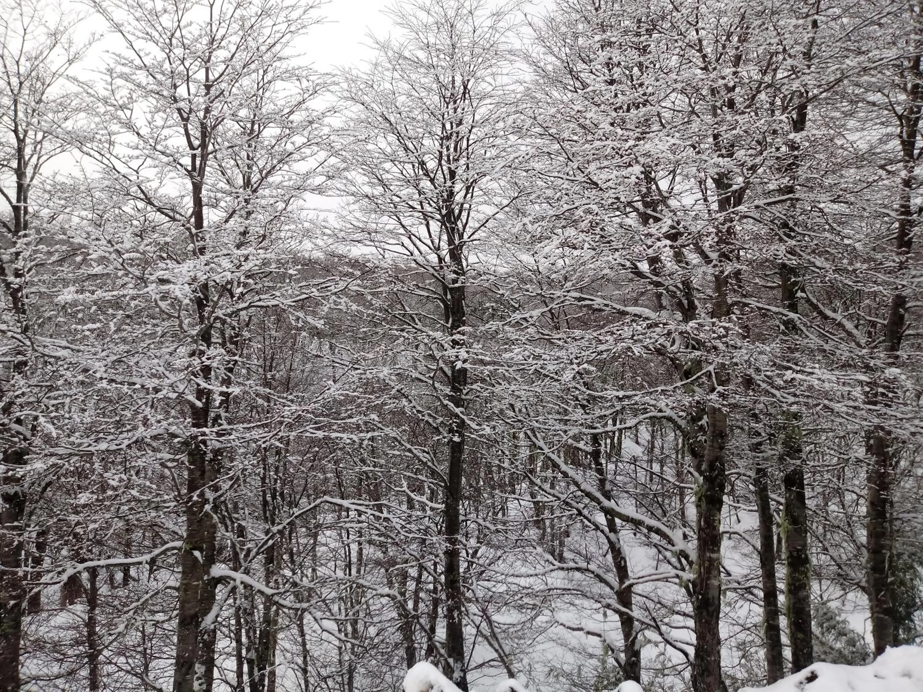 Natural landscape in Casa de Noah Bed & Breakfast