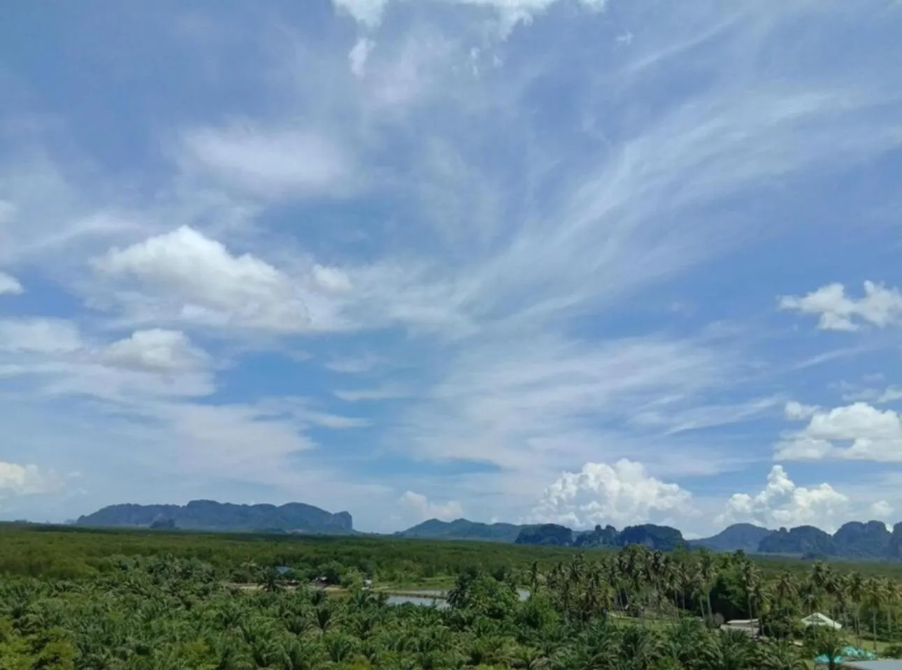 Natural landscape in The Ozone Krabi Condotel
