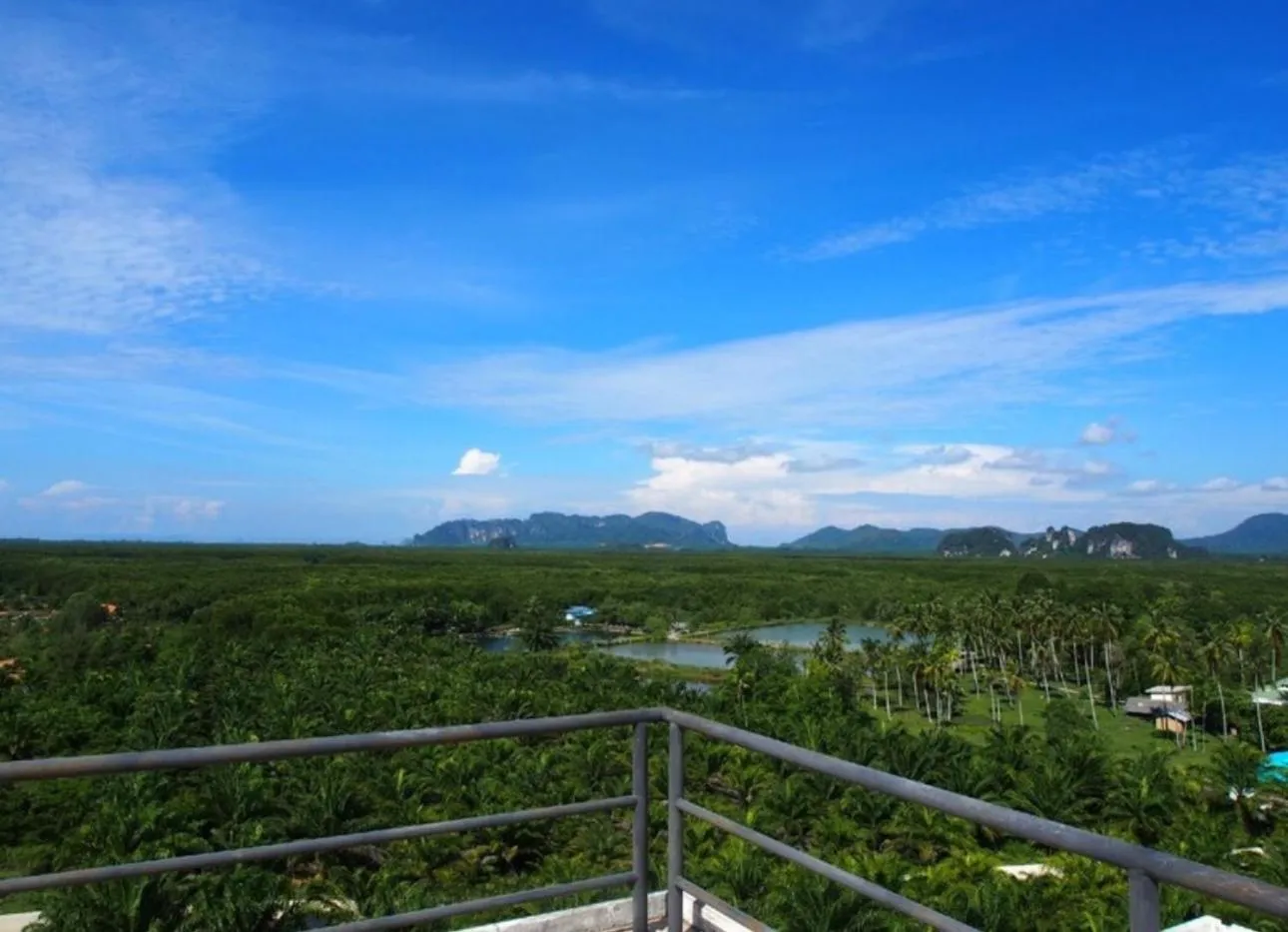 Natural landscape in The Ozone Krabi Condotel