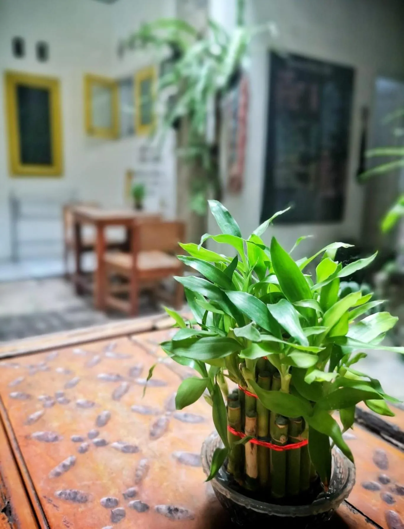 Banana Homestay