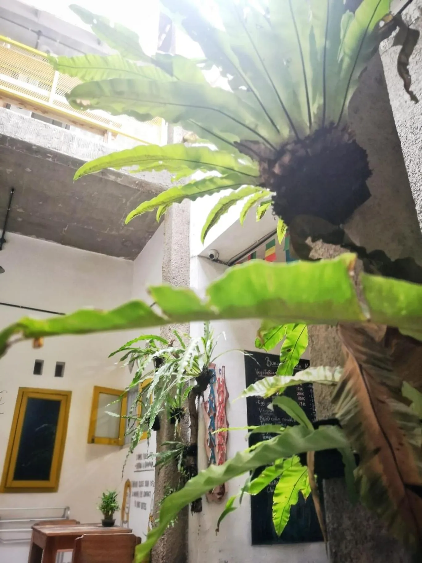 Banana Homestay