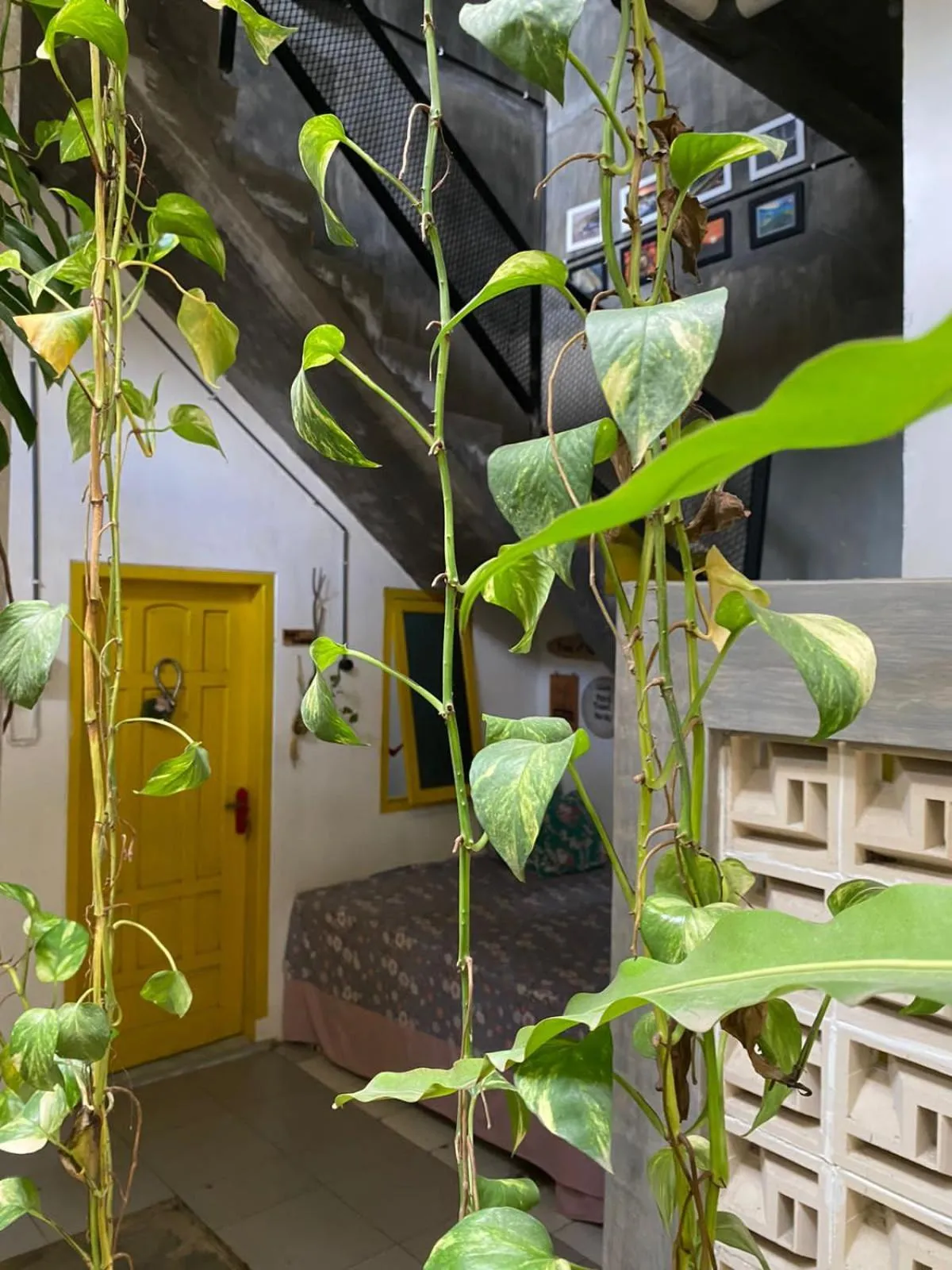 Banana Homestay