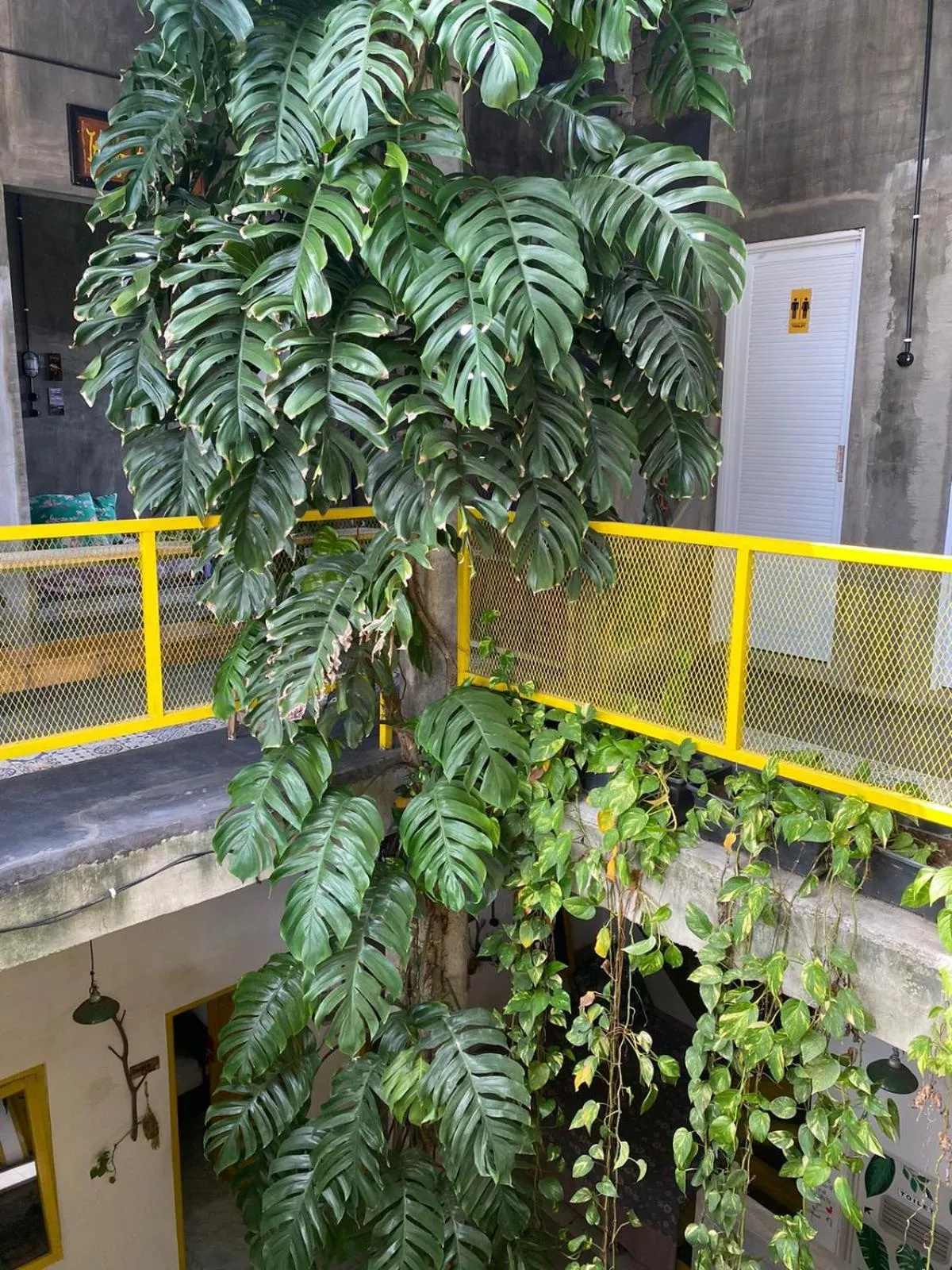 Banana Homestay