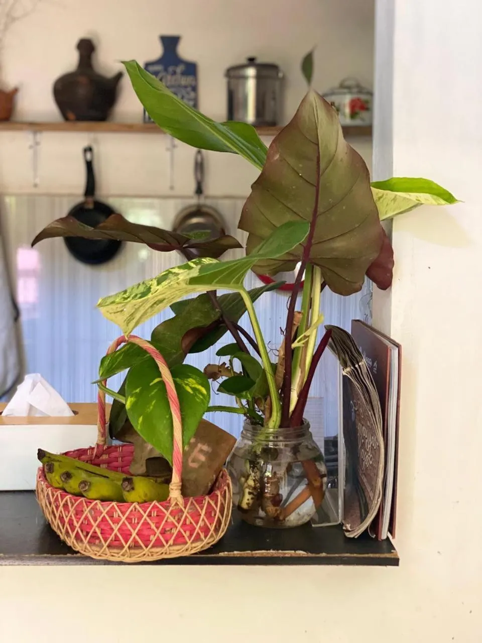 Banana Homestay