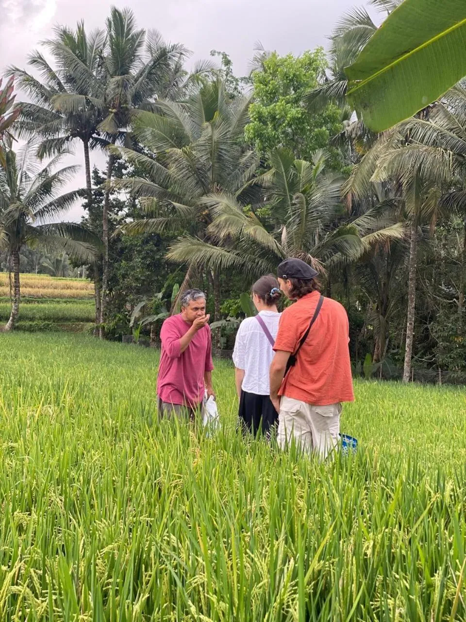 Banana Homestay