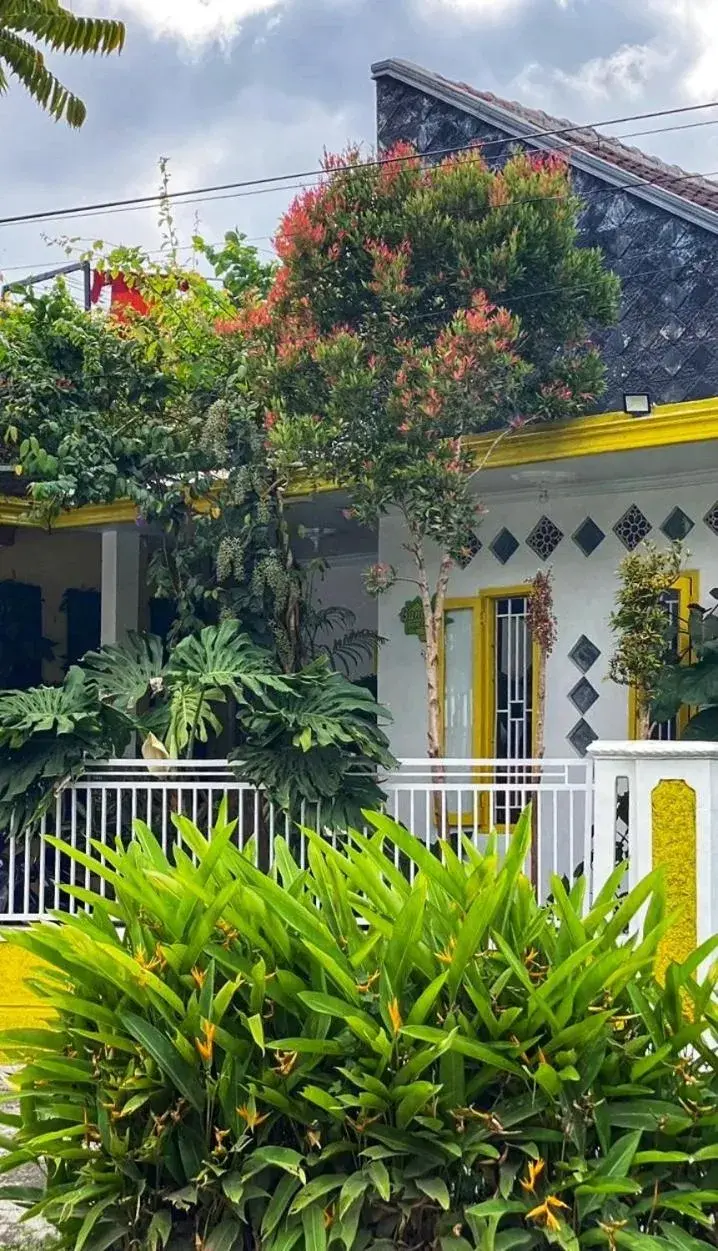 Banana Homestay Banana Homestay