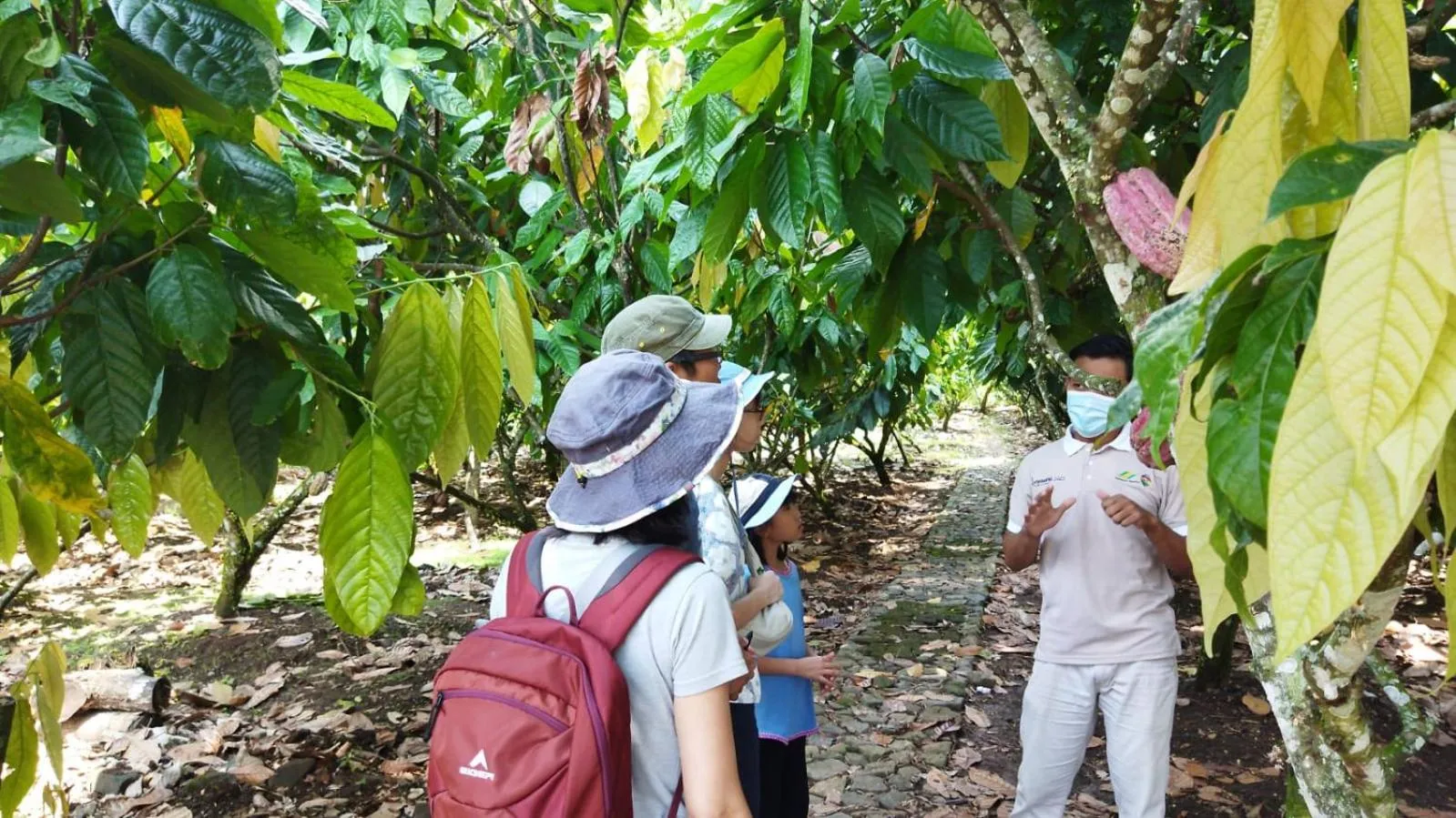 Banana Homestay