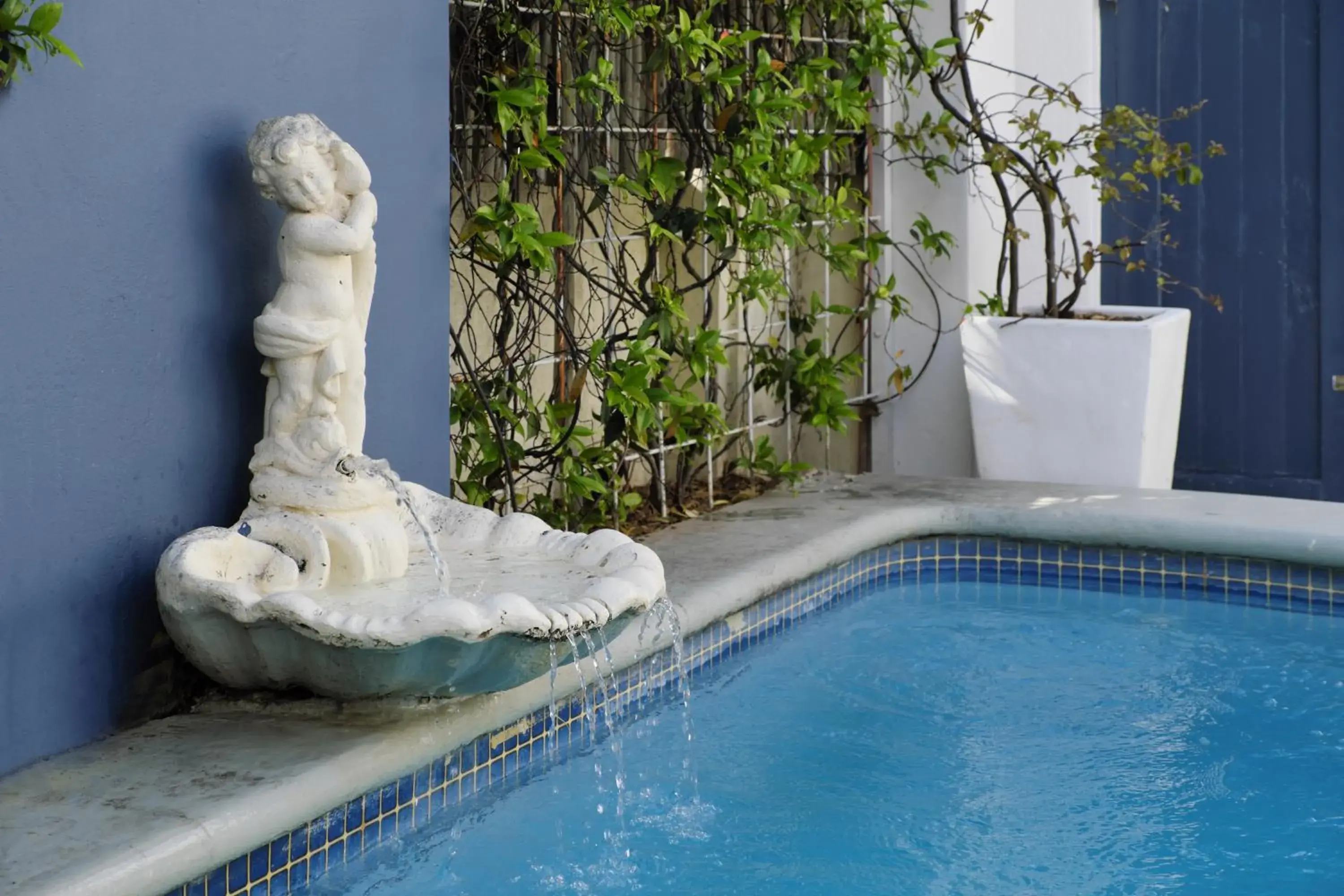 Swimming pool in Chapter House Boutique Hotel by The Living Journey Collection Swimming pool in Chapter House Boutique Hotel by The Living Journey Collection