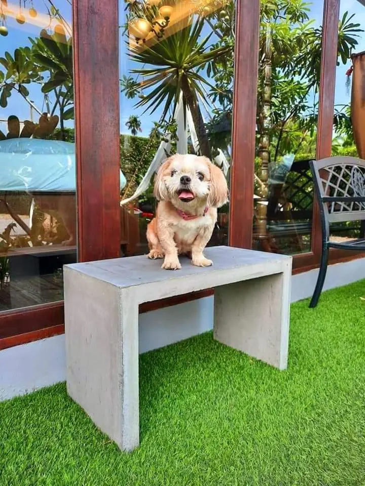 Amantra homestay & village