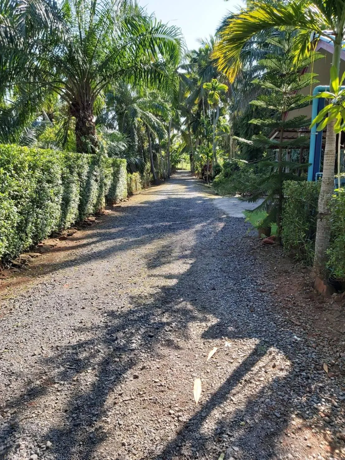 Amantra homestay & village