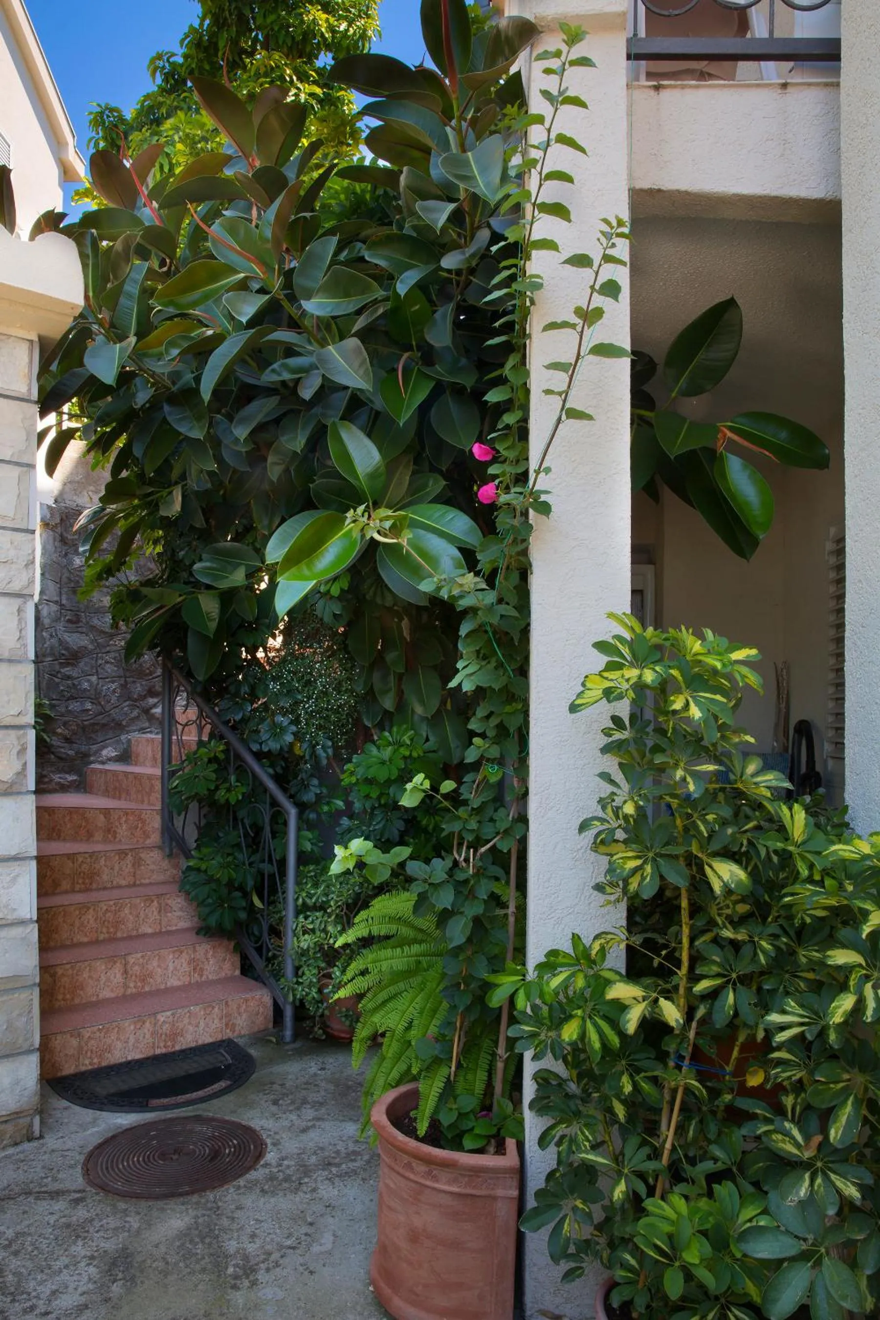 Garden in Apartments Bloom Bečići