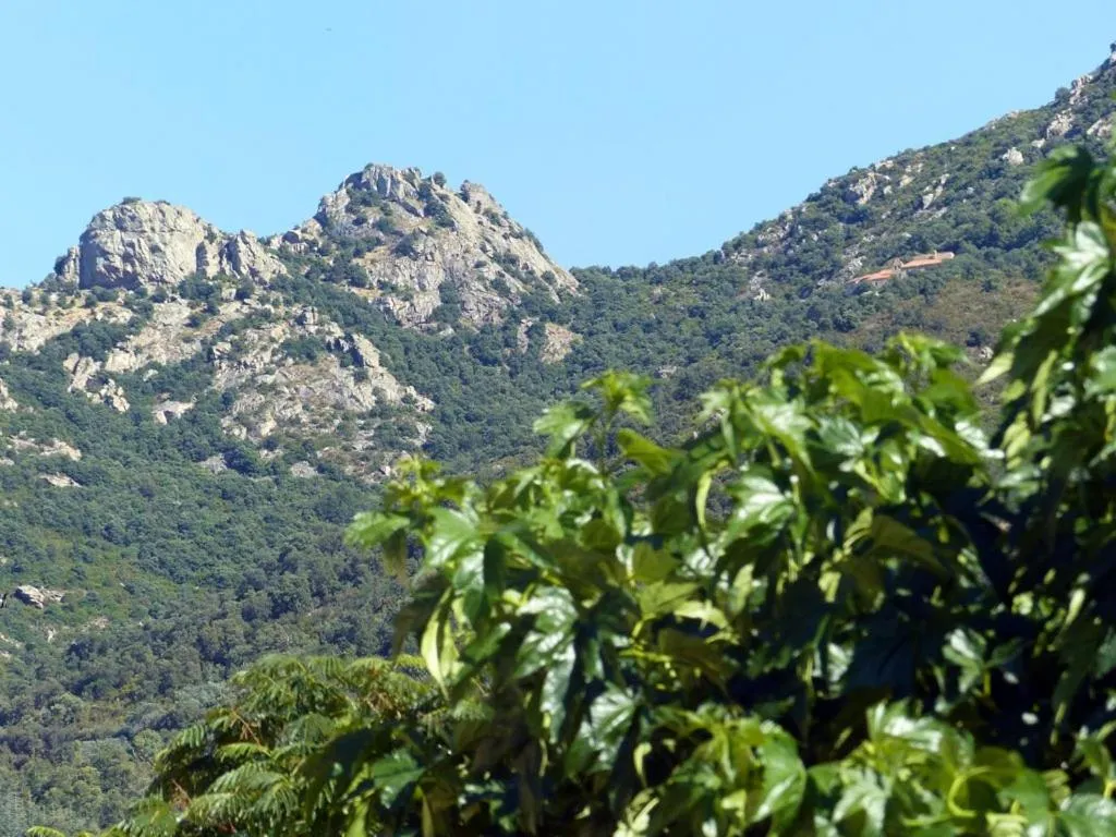 Property building in casa-tena-Sorède