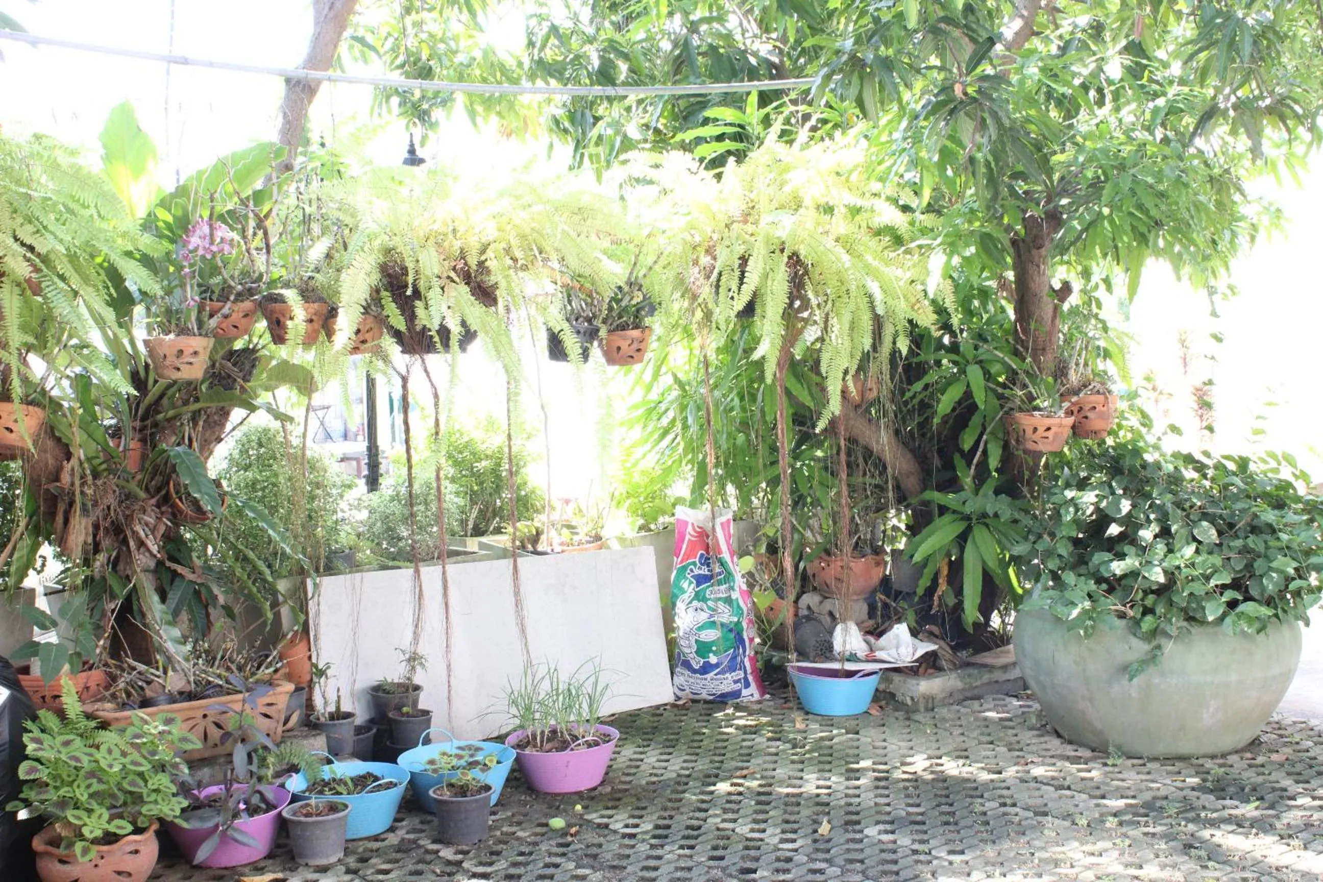 Property building in Thanyachatra Boutique