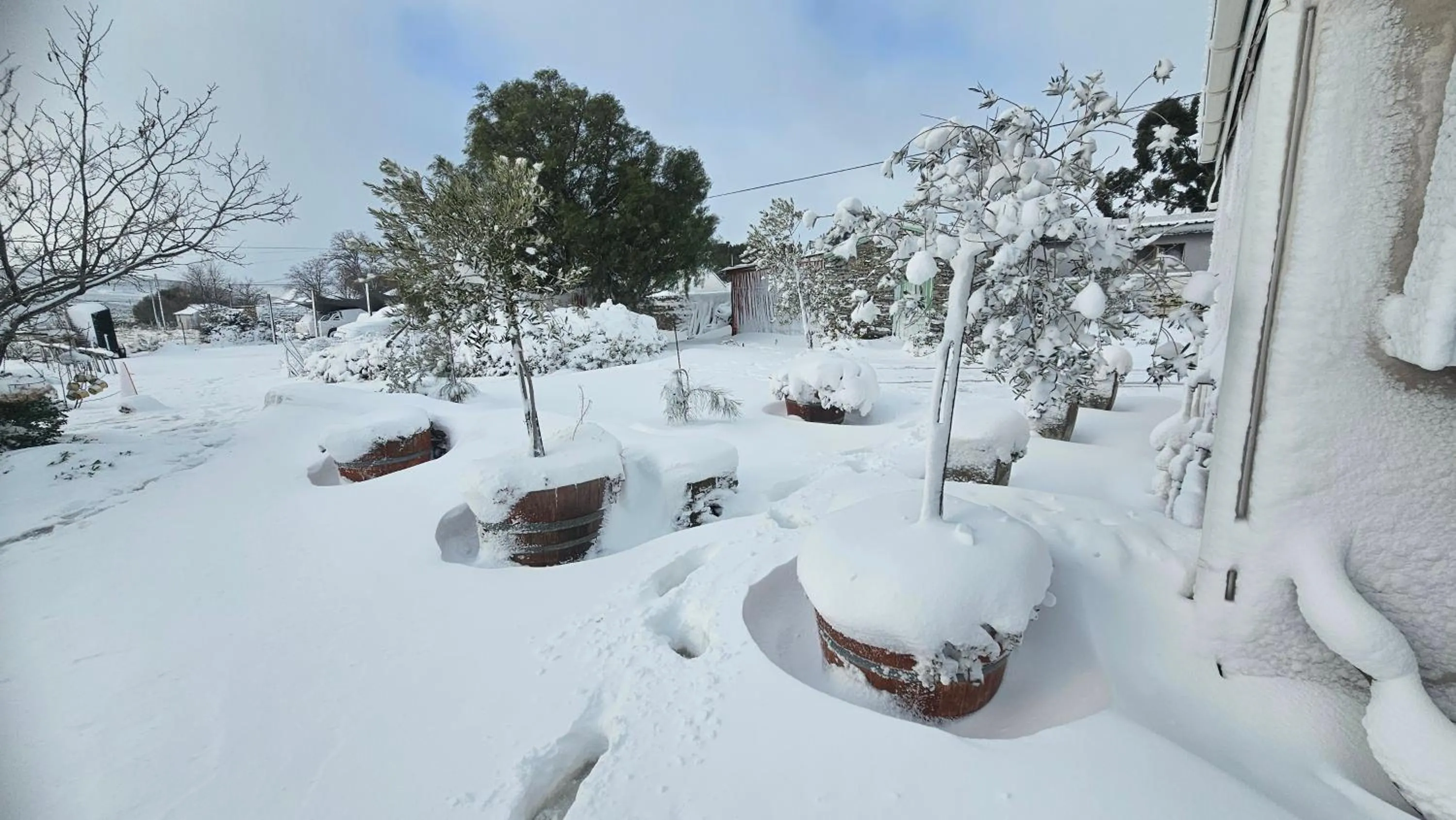 Winter in Perlman House